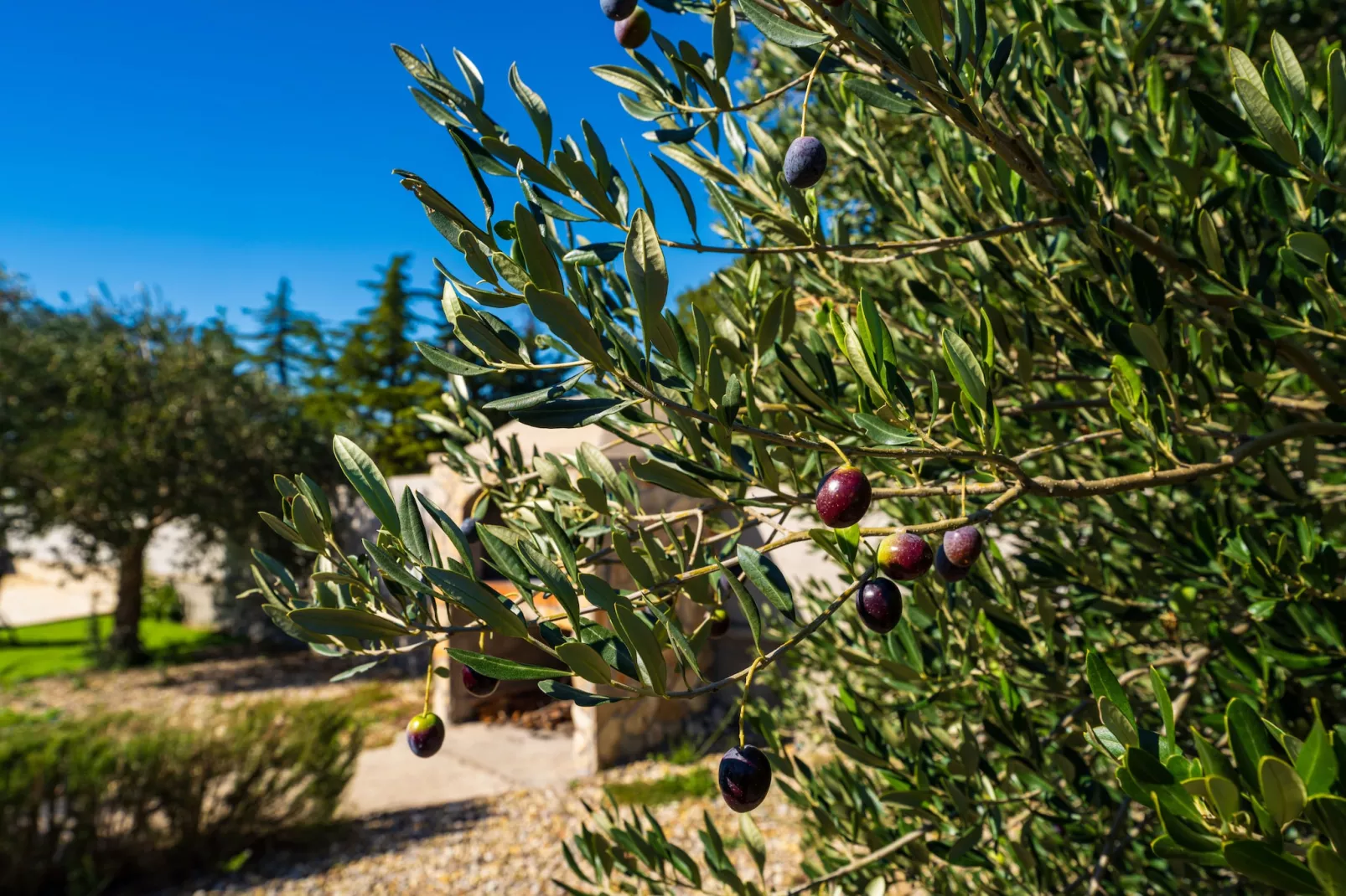 Holiday home Emily-Sfeer