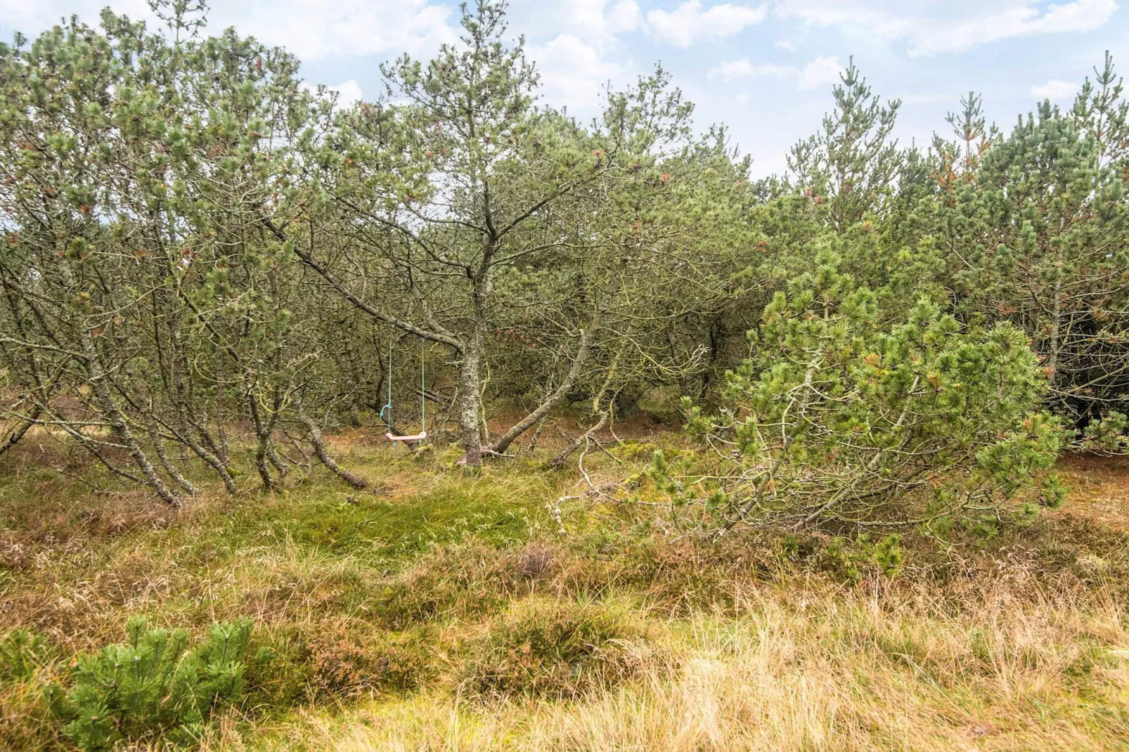 Luxe retraite in Blavand -- By Traum Ferienwohnungen-Uitzicht