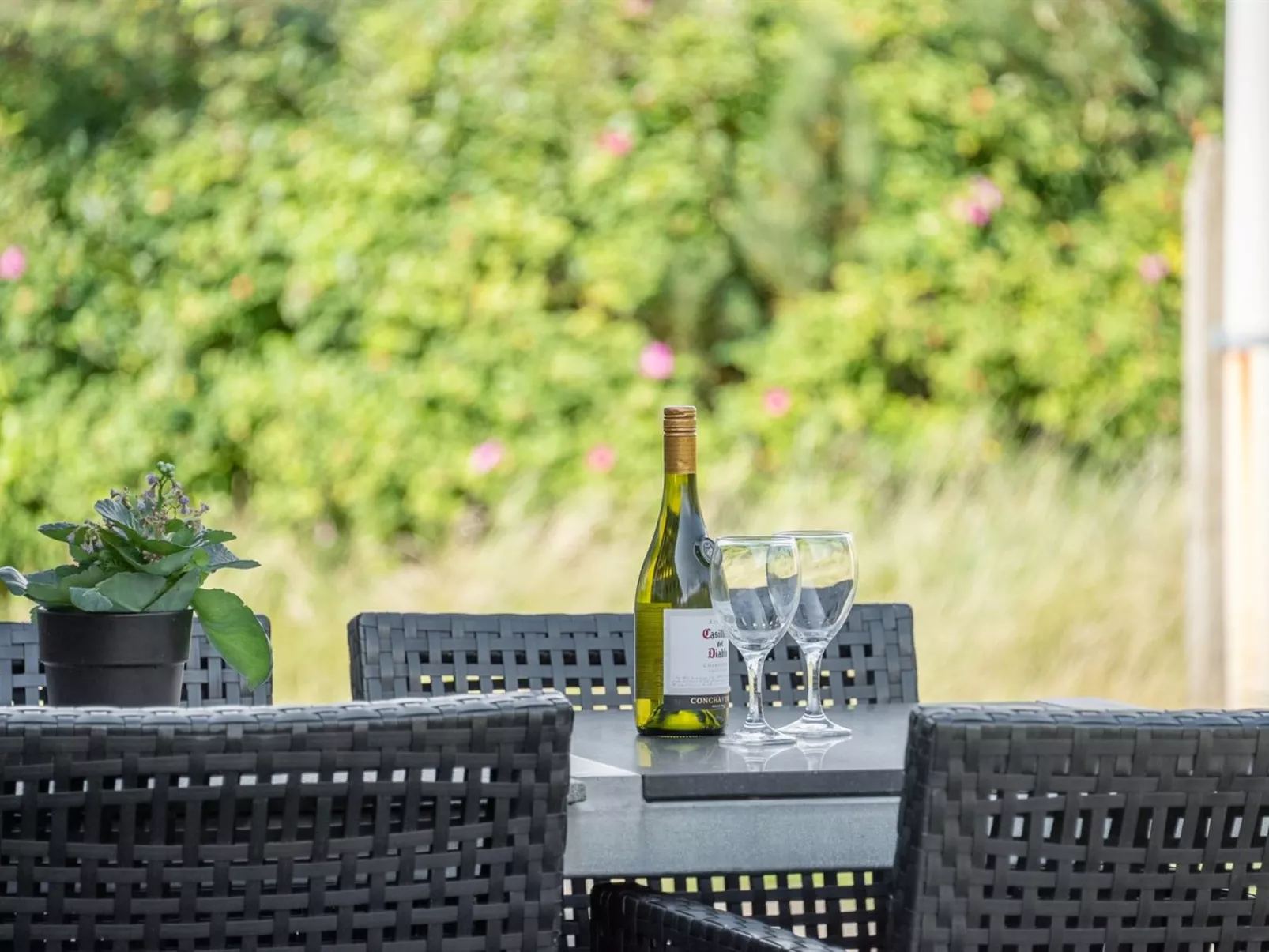 "Jess" -  from the sea-Buiten