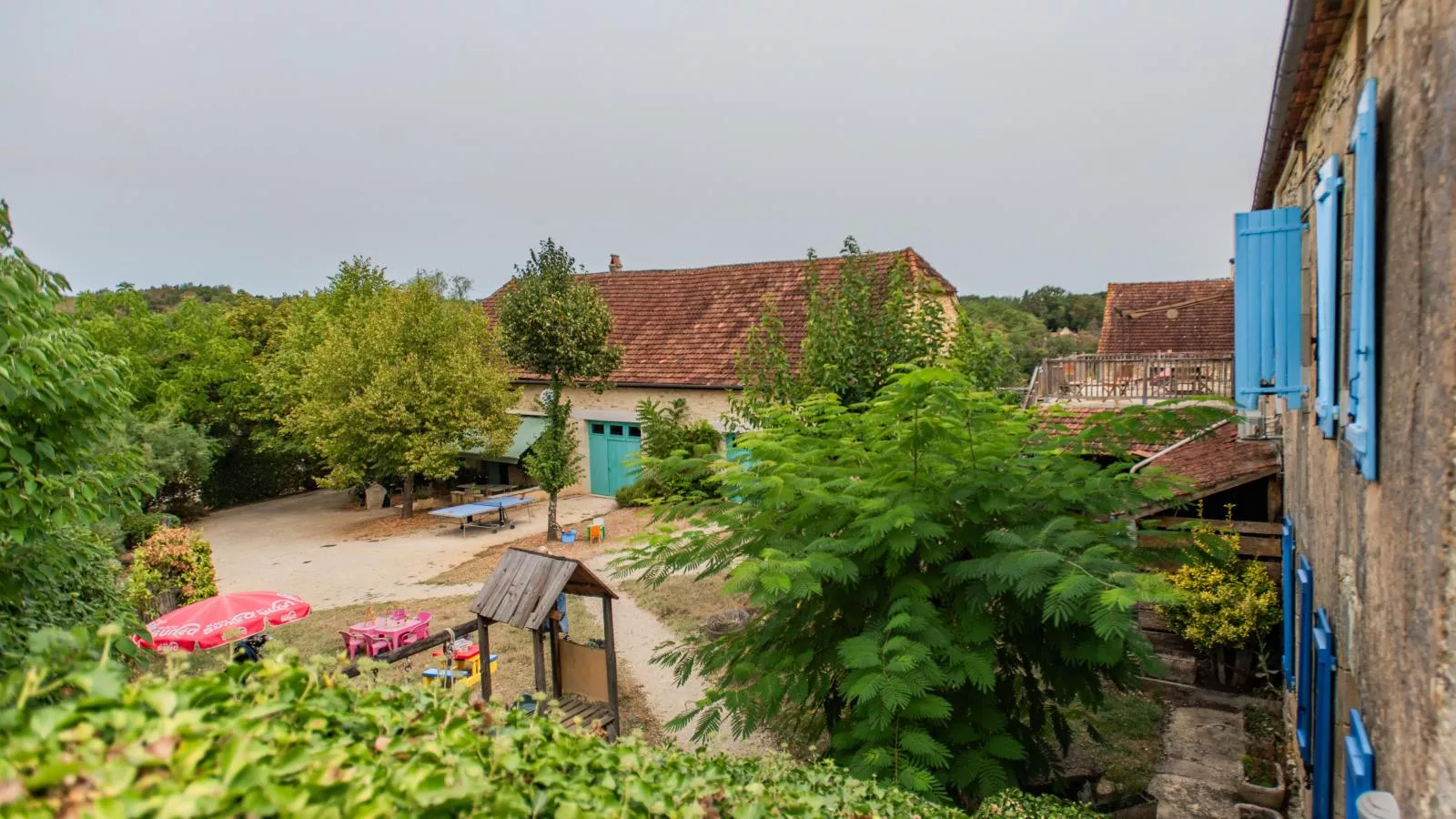 Orchidee-Uitzicht zomer