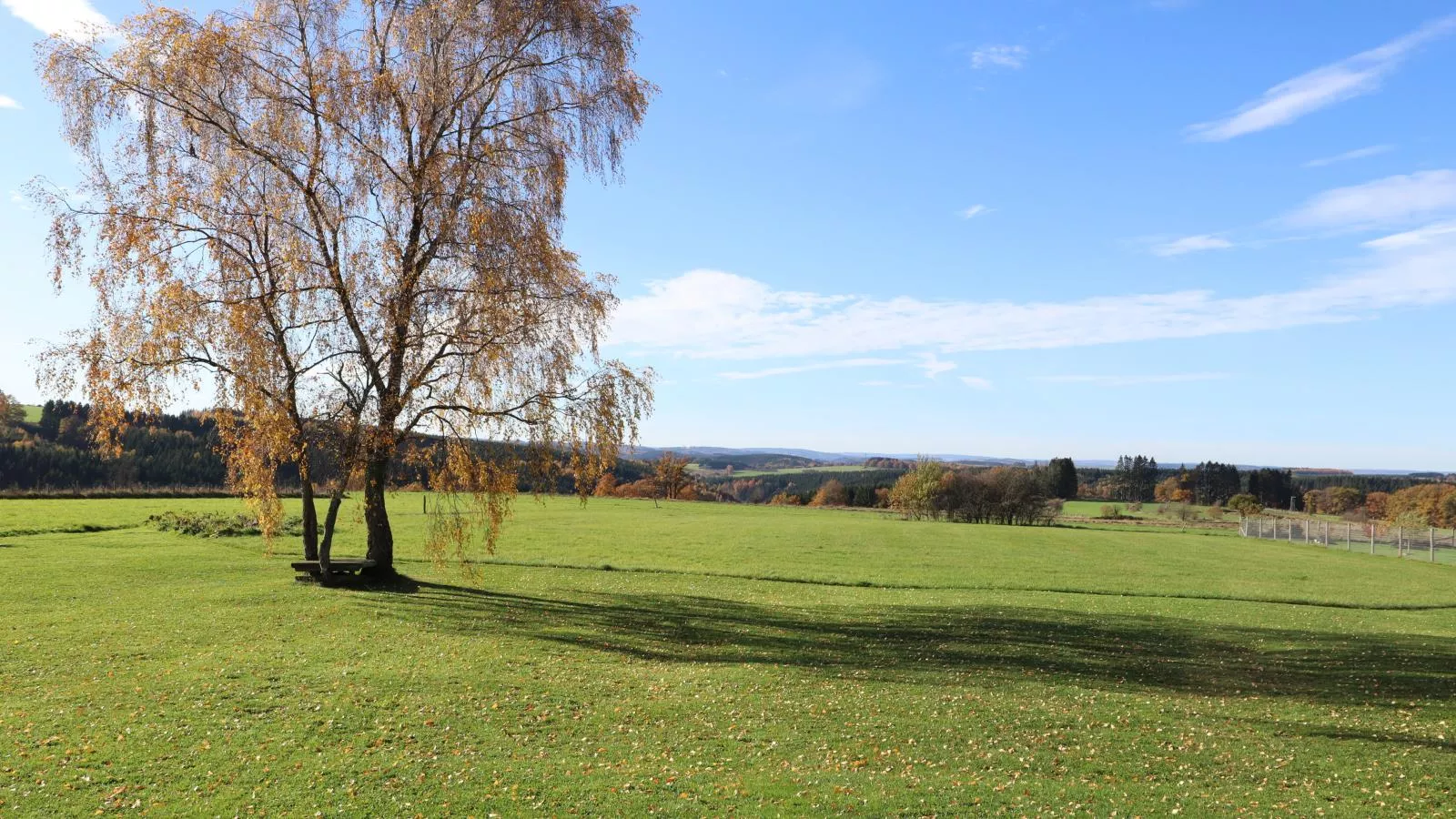 Petit Wilogne-Tuinen zomer