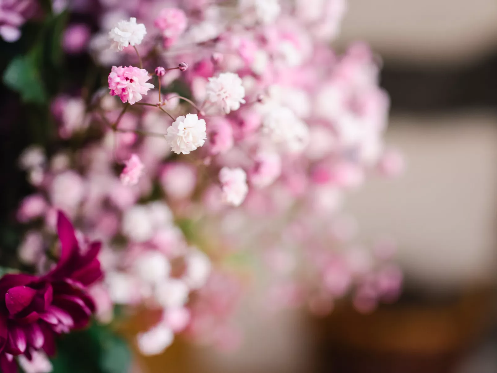 Corrimony View-Binnen