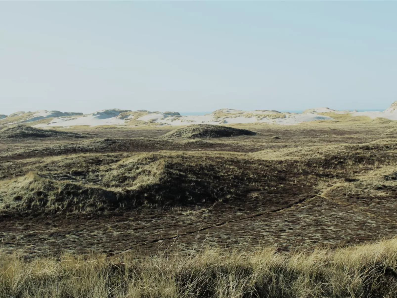 "Swanja" -  from the sea-Buiten