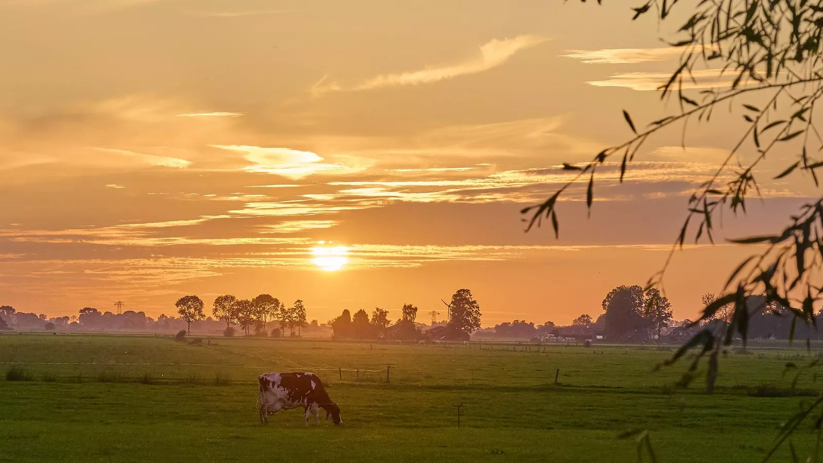 Alpa Casa-Gebieden zomer 1km