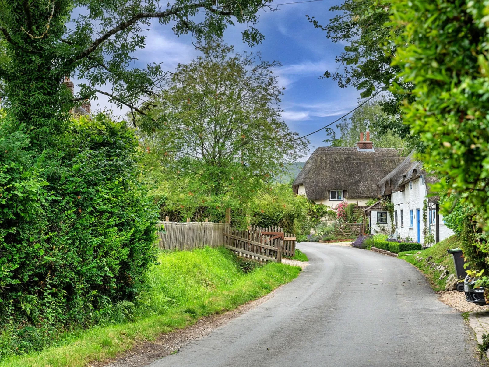 The Thatch at Winterborne Houghton-Buiten