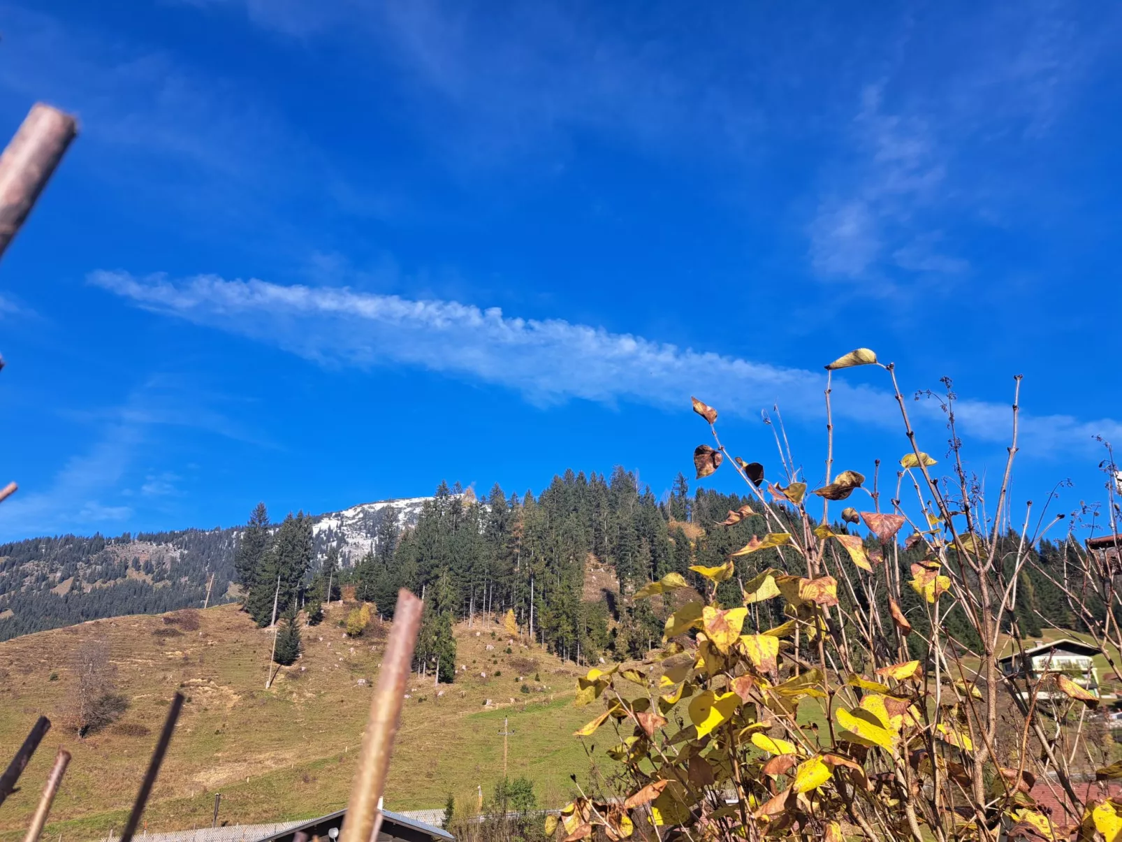 Appartement 1-Buiten