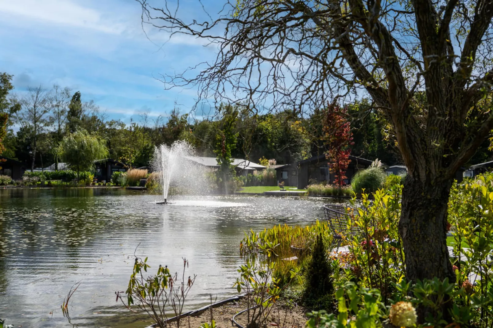 Vakantiepark Molenvelden 6-Gebieden zomer 1km
