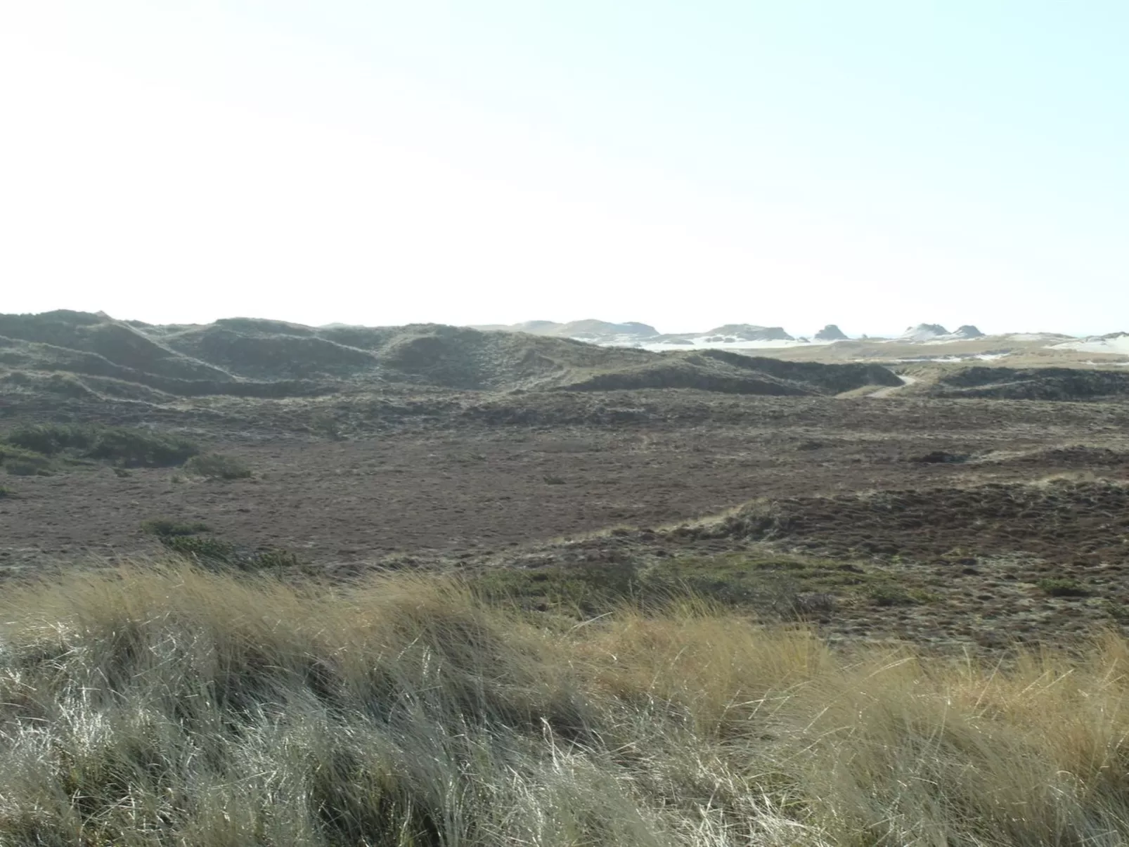 "Swanja" -  from the sea-Buiten