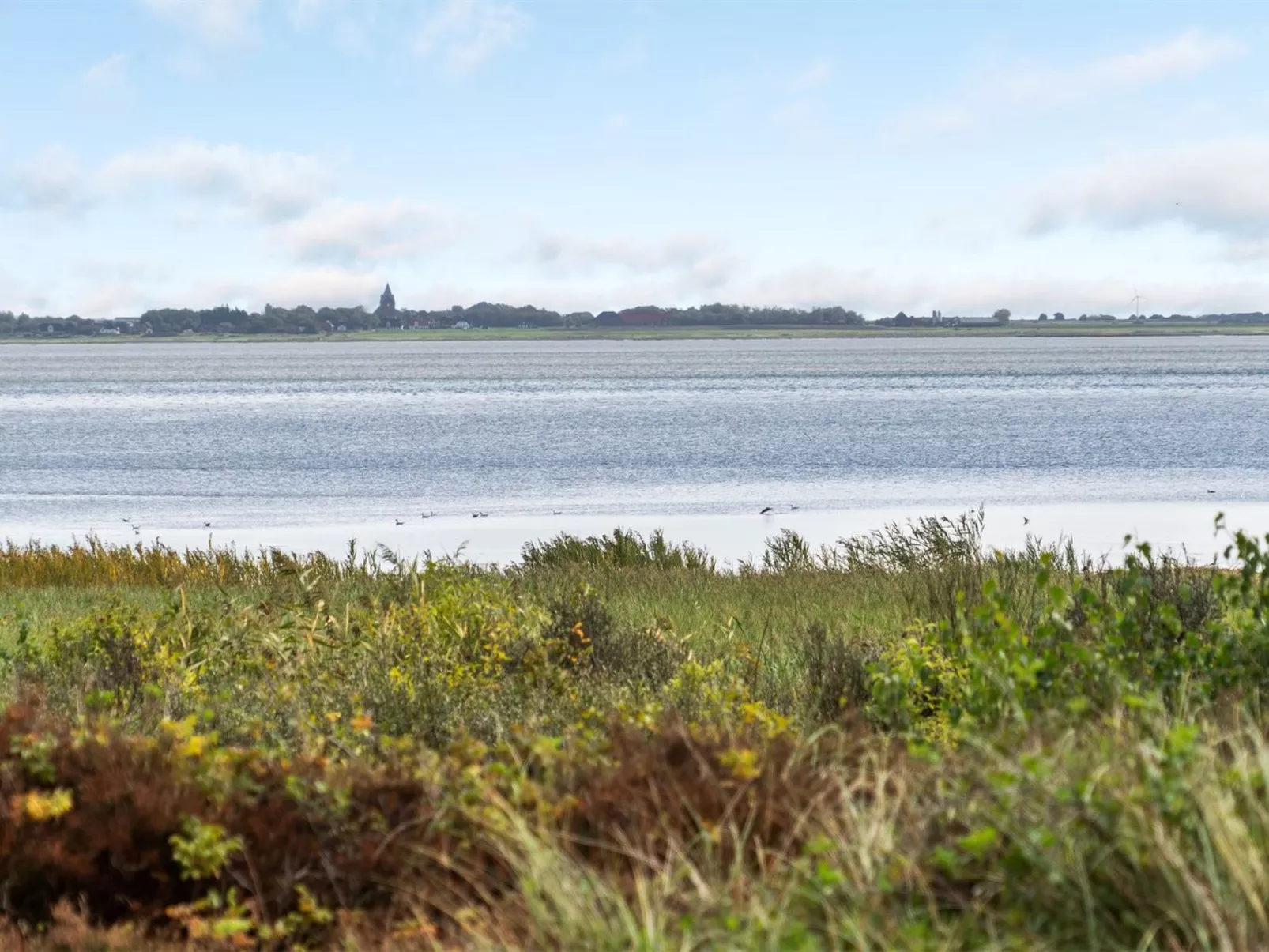 "Toralf" - 3.5km from the sea-Buiten