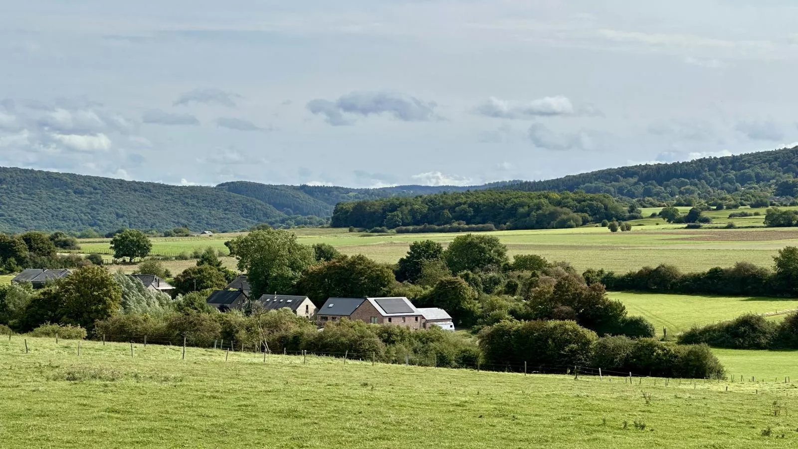 Loheré-Gebieden zomer 1km