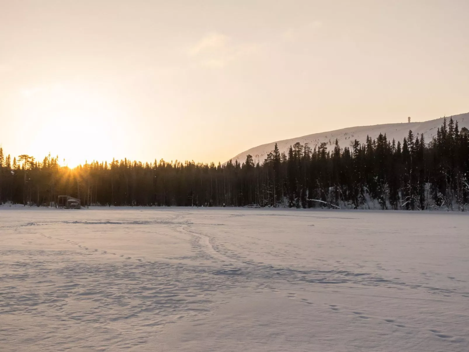 Metsä-luosto-Binnen