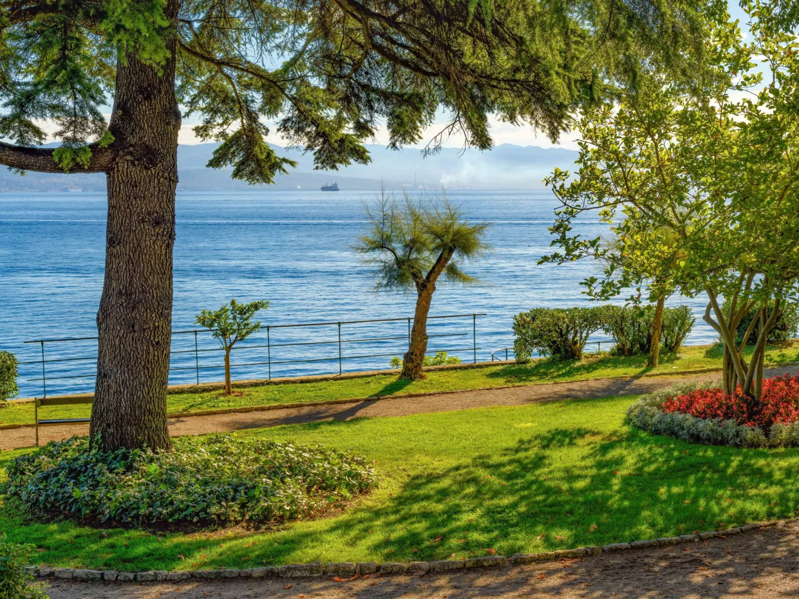 Sirotnjak 1-Omgeving