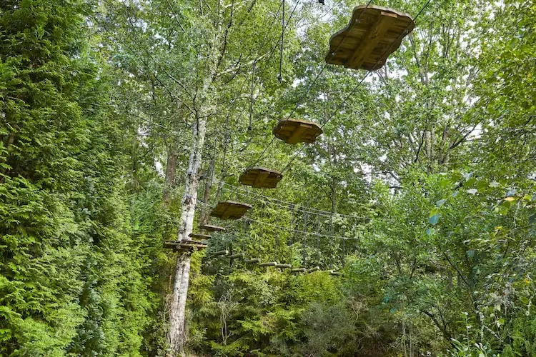 Dom wakacyjny w Sasinie dla max 10 osób-Tuinen zomer