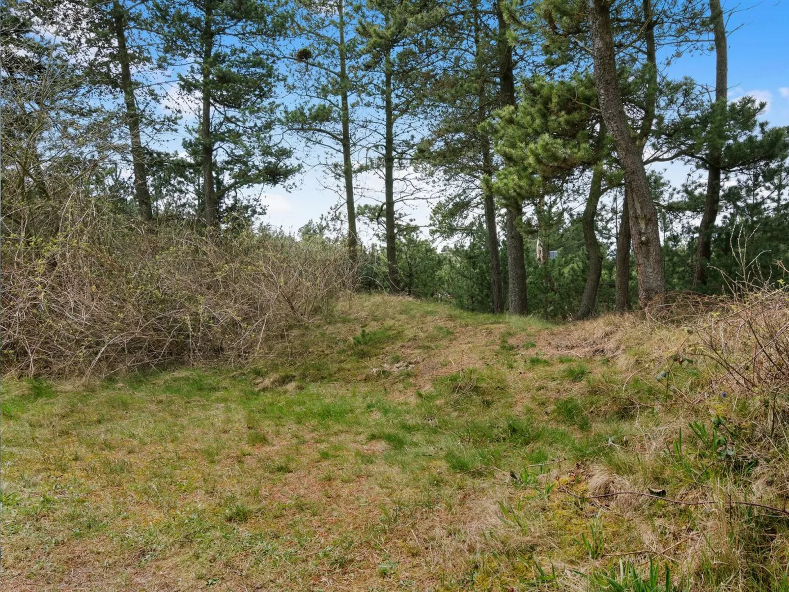 "Nael" - 1.6km from the sea-Buiten