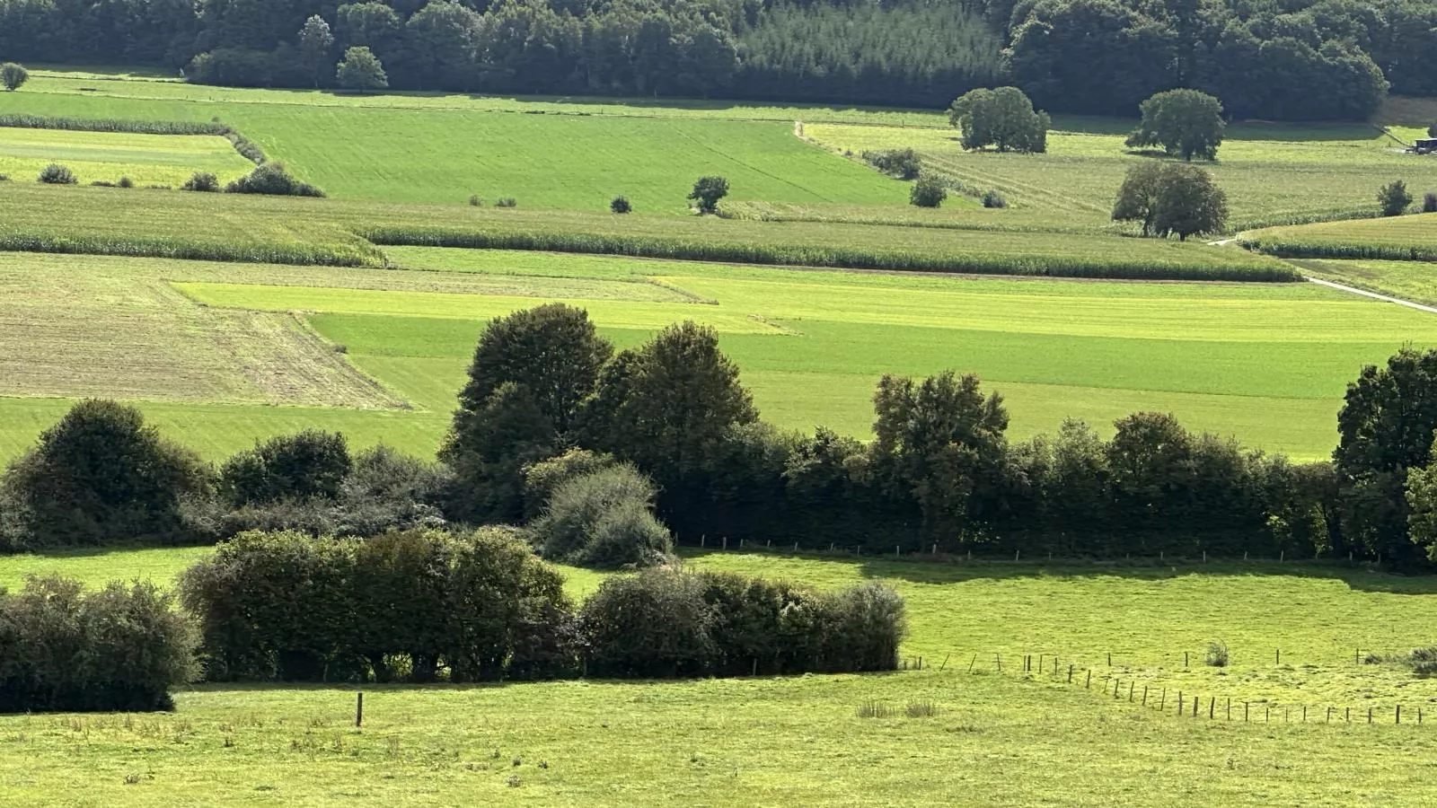 Loheré-Gebieden zomer 20km