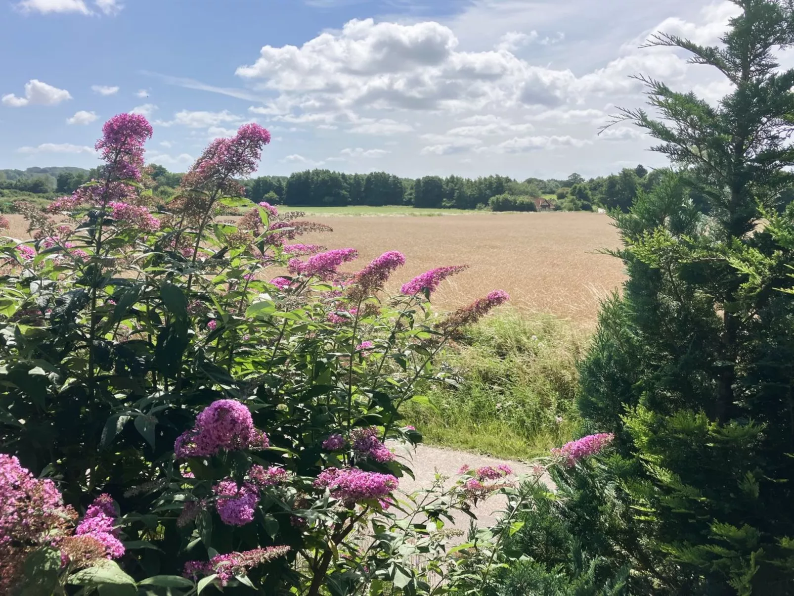 "Thessa" - 4km from the sea-Buiten