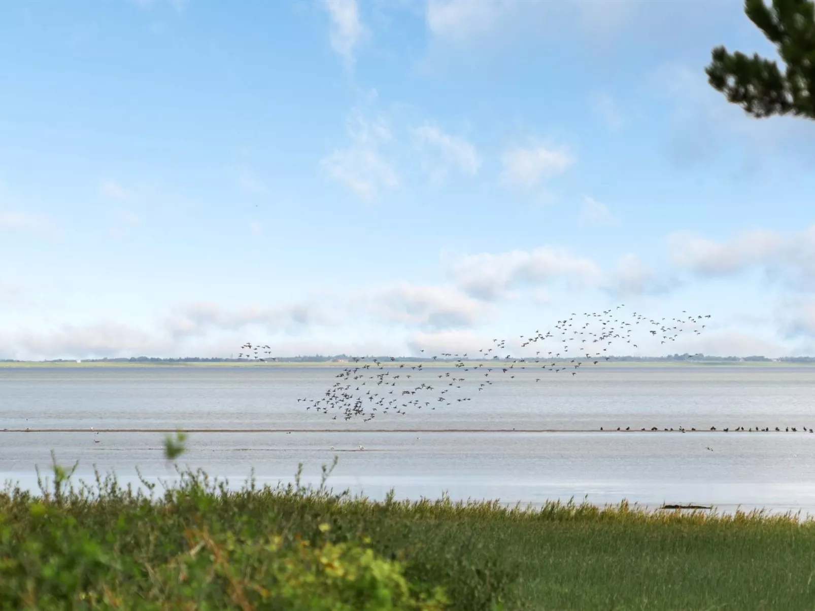 "Toralf" - 3.5km from the sea-Buiten