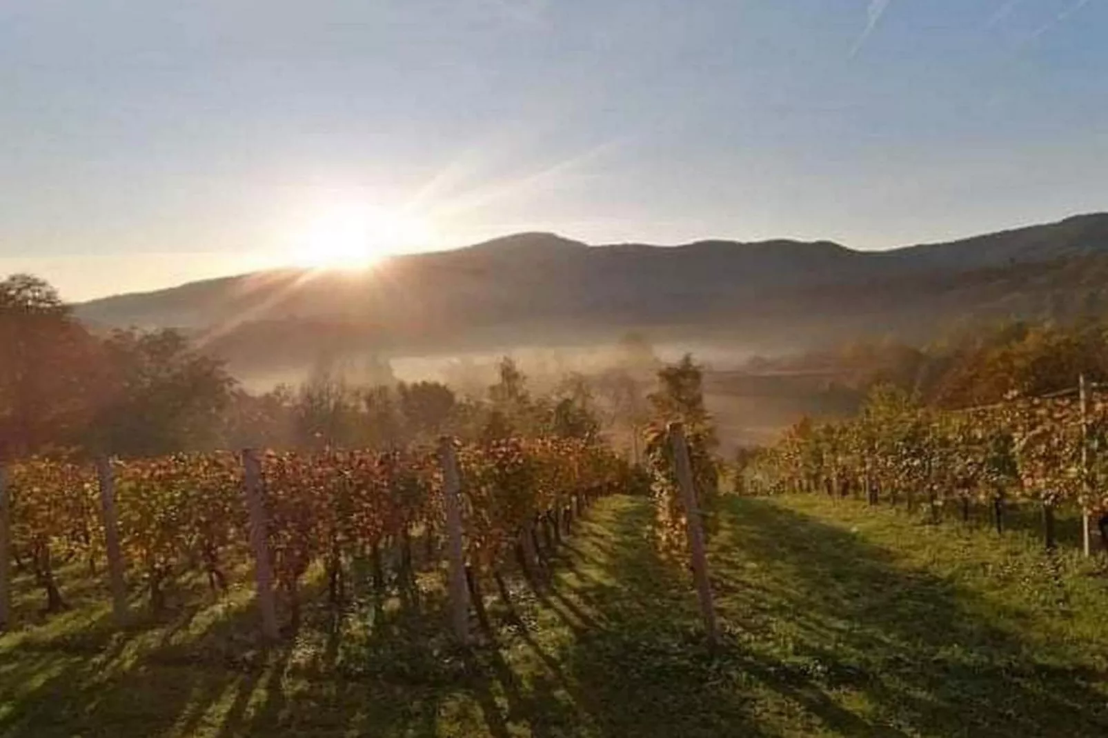 Golden Horizon Holiday Home with Terrace and Garden - One Bedroom Holiday Home with Terrace and Garden