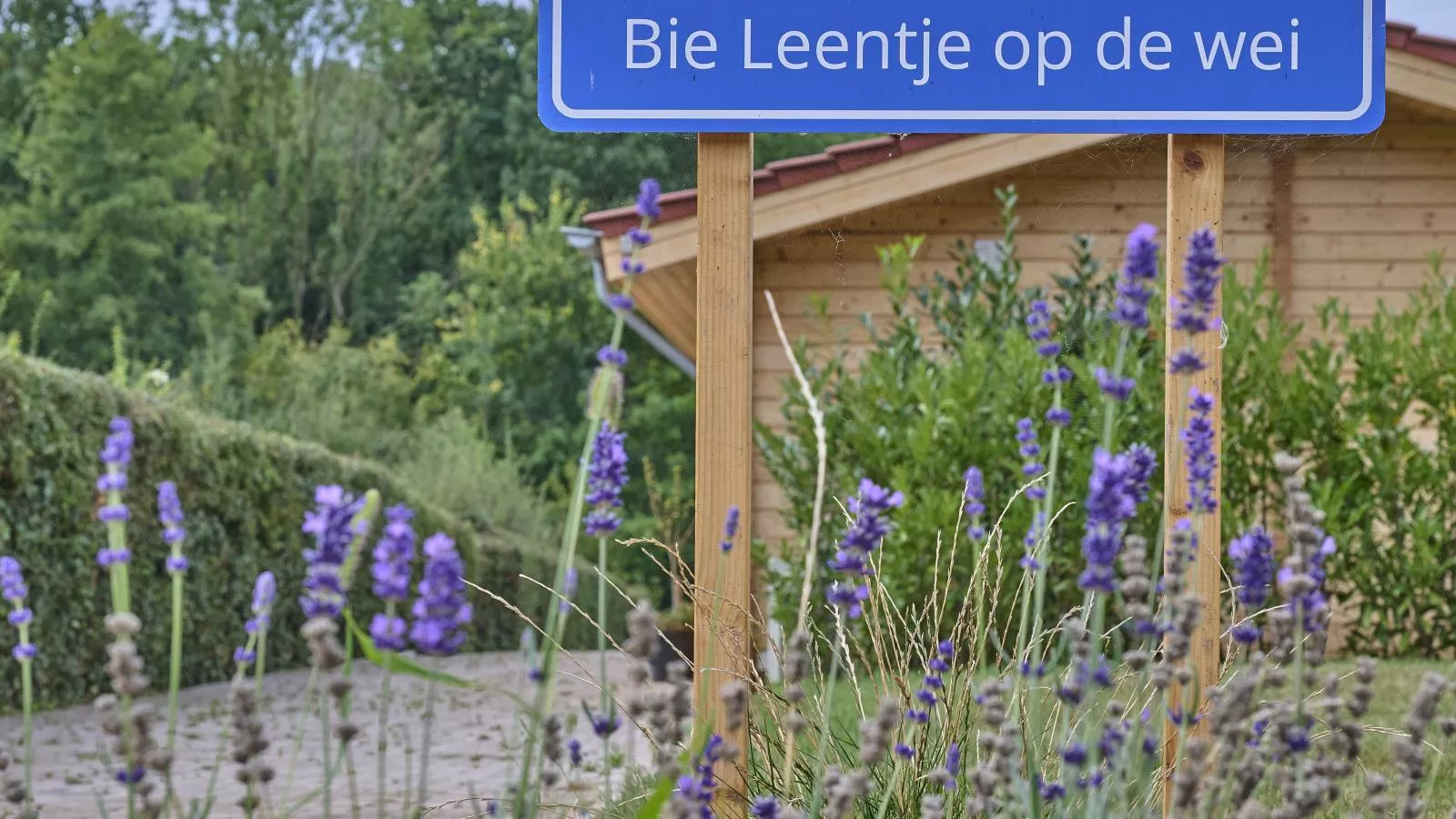 Bie Leentje op de Wei-Sfeer