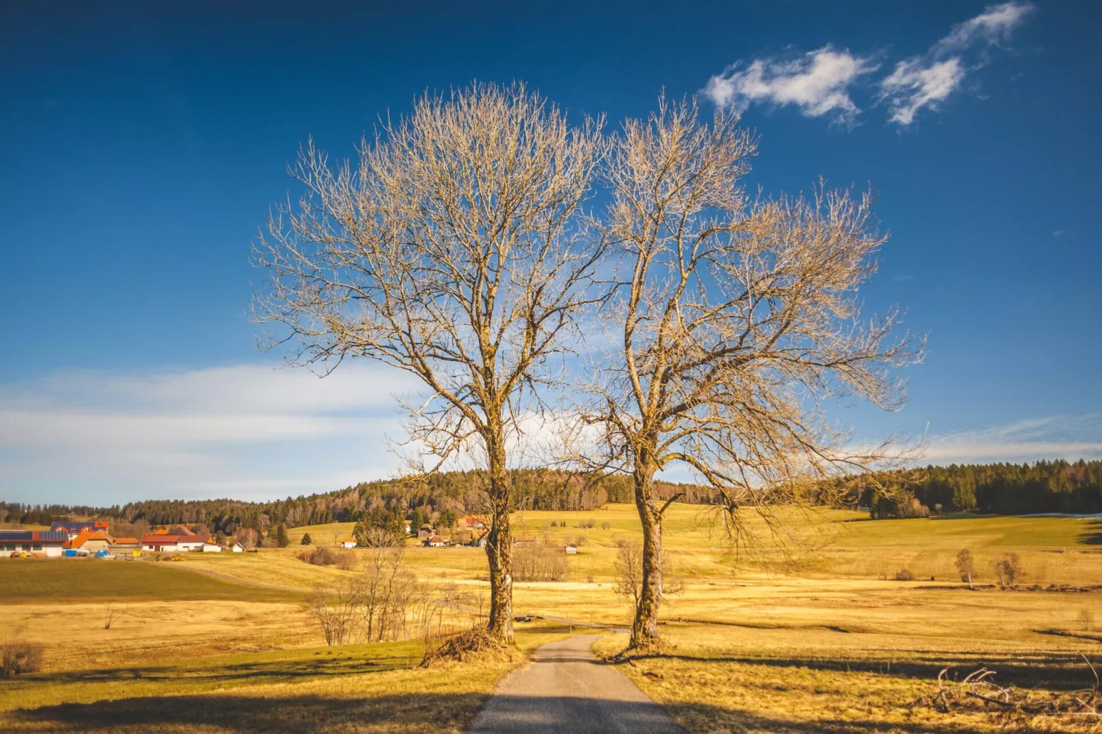 Ferienwohnung Herrischried an der Skipiste-Gebieden zomer 5km