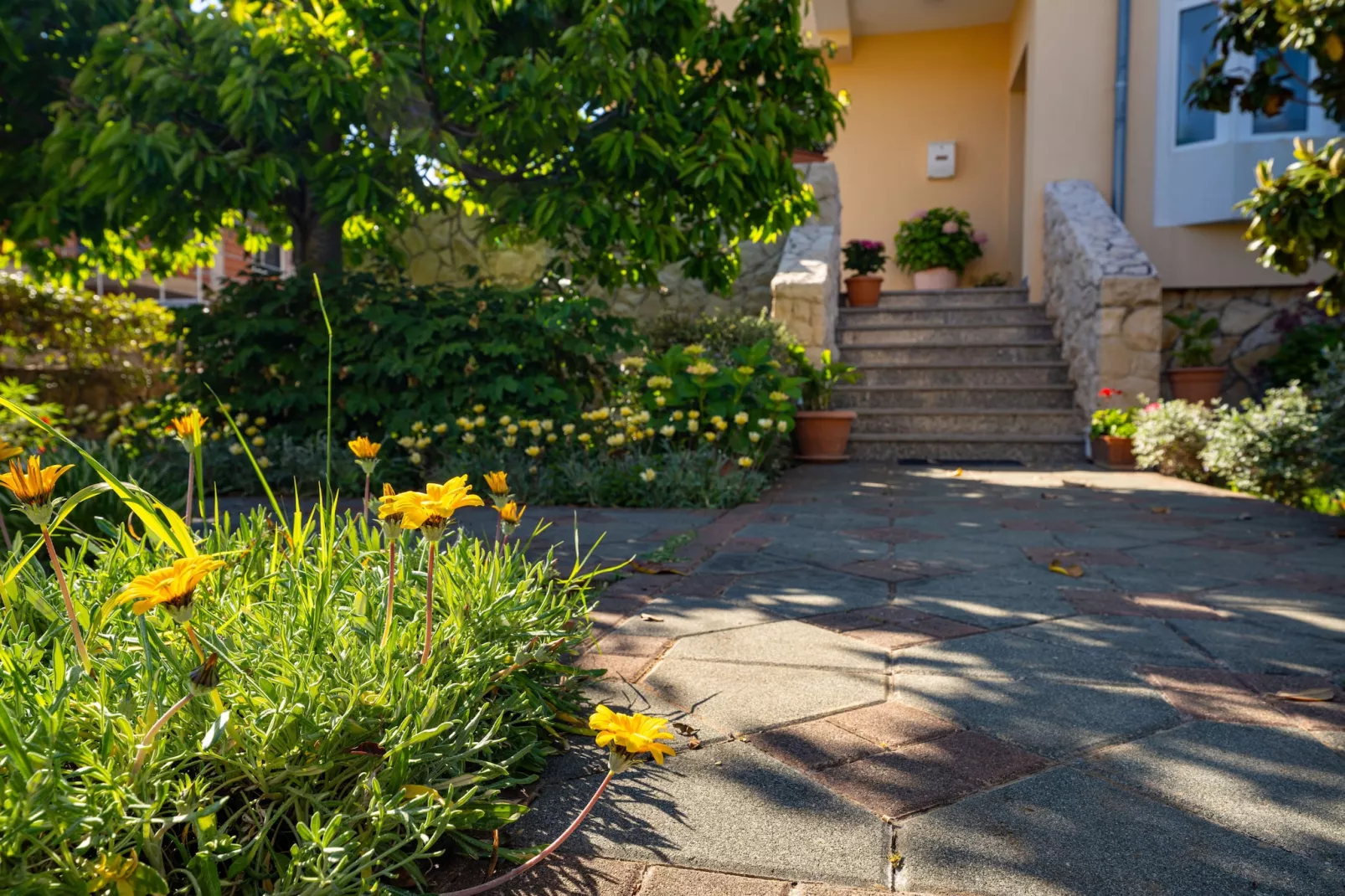 Beach house Privlaka-Tuinen zomer