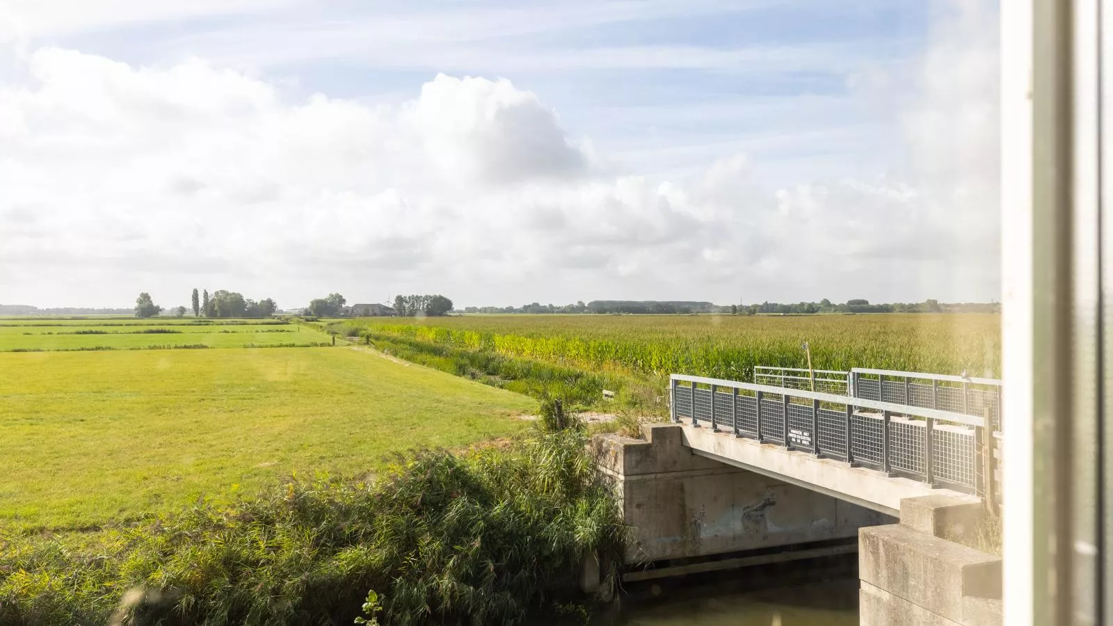 Groep in Friesland-Uitzicht zomer