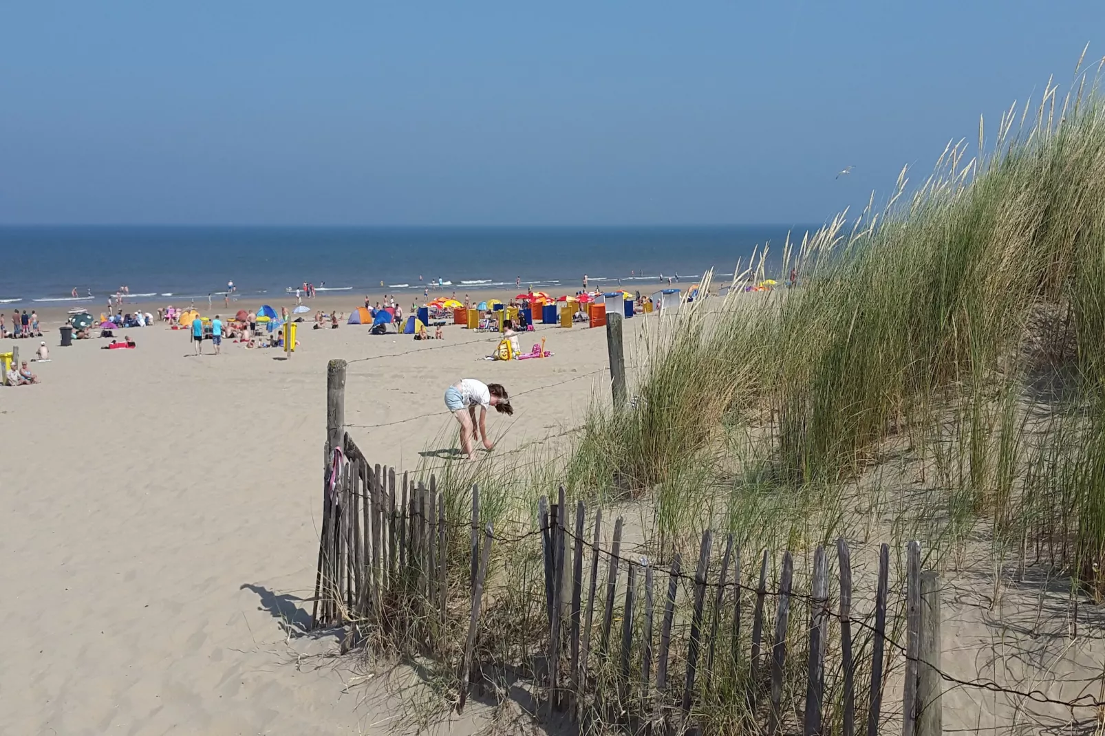 Casa Divera-Gebieden zomer 5km