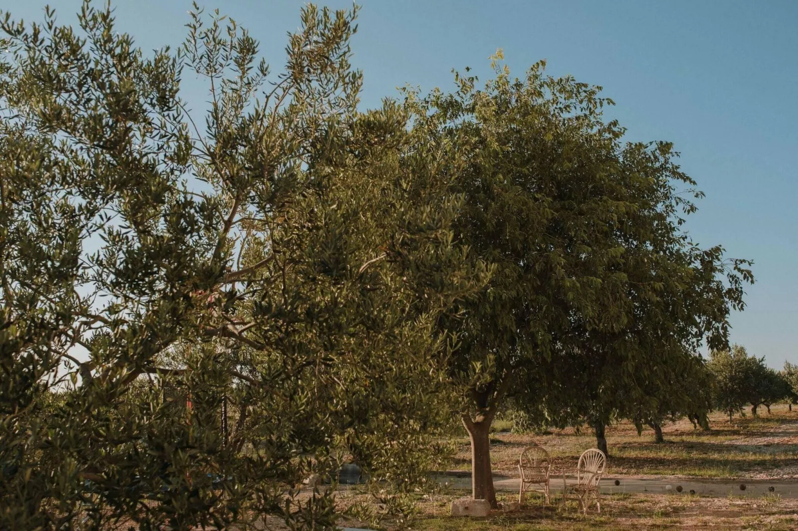 Authentic Villa Storia-Gebieden zomer 20km