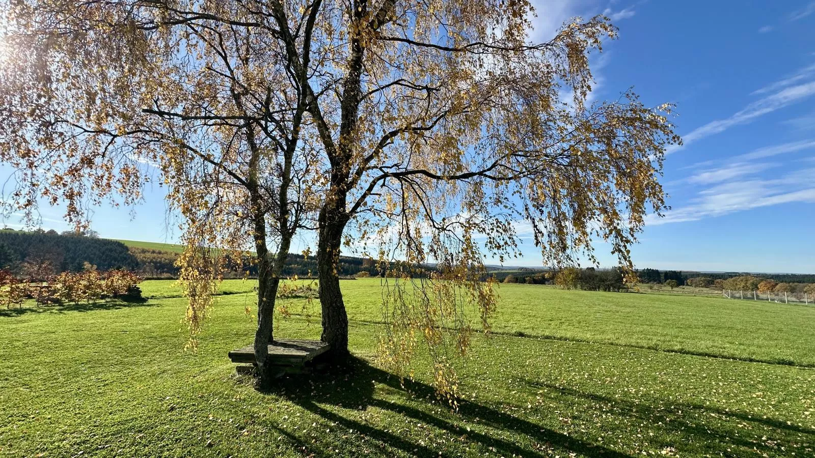 Petit Wilogne-Tuinen zomer