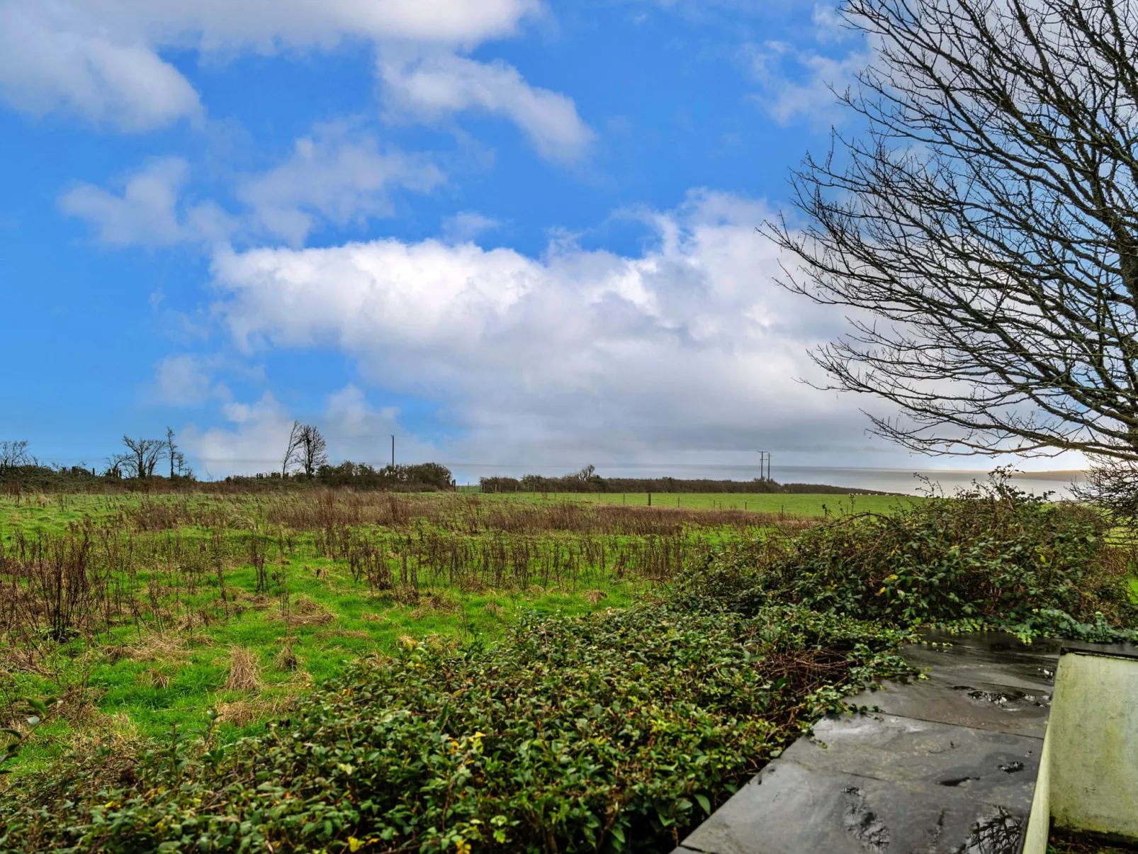 Dingles Cottage-Buiten