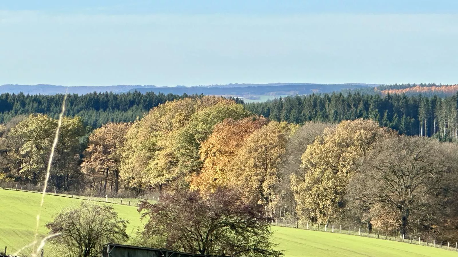 Petit Wilogne-Uitzicht zomer