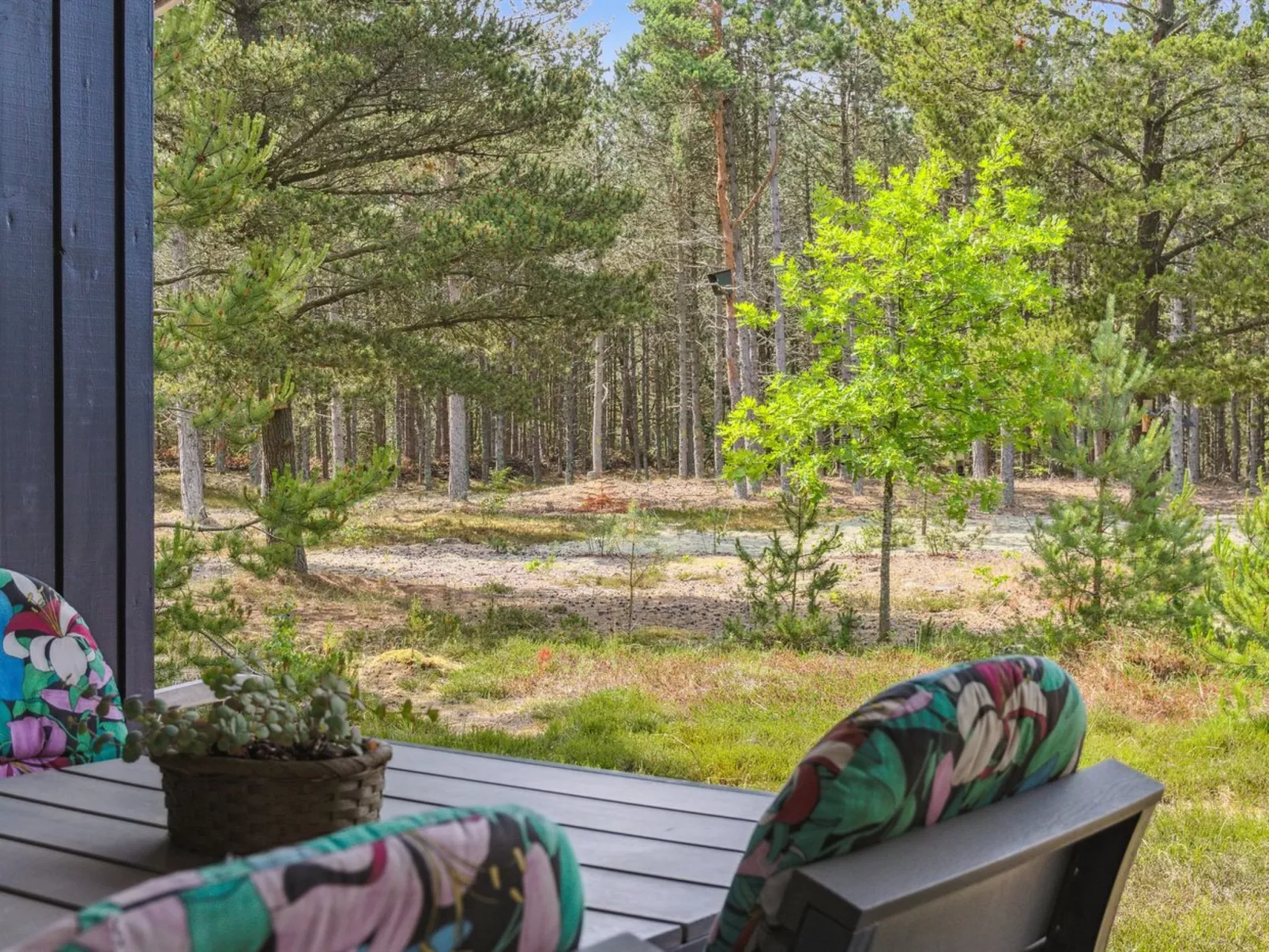 "Andy" - 600m from the sea-Buiten