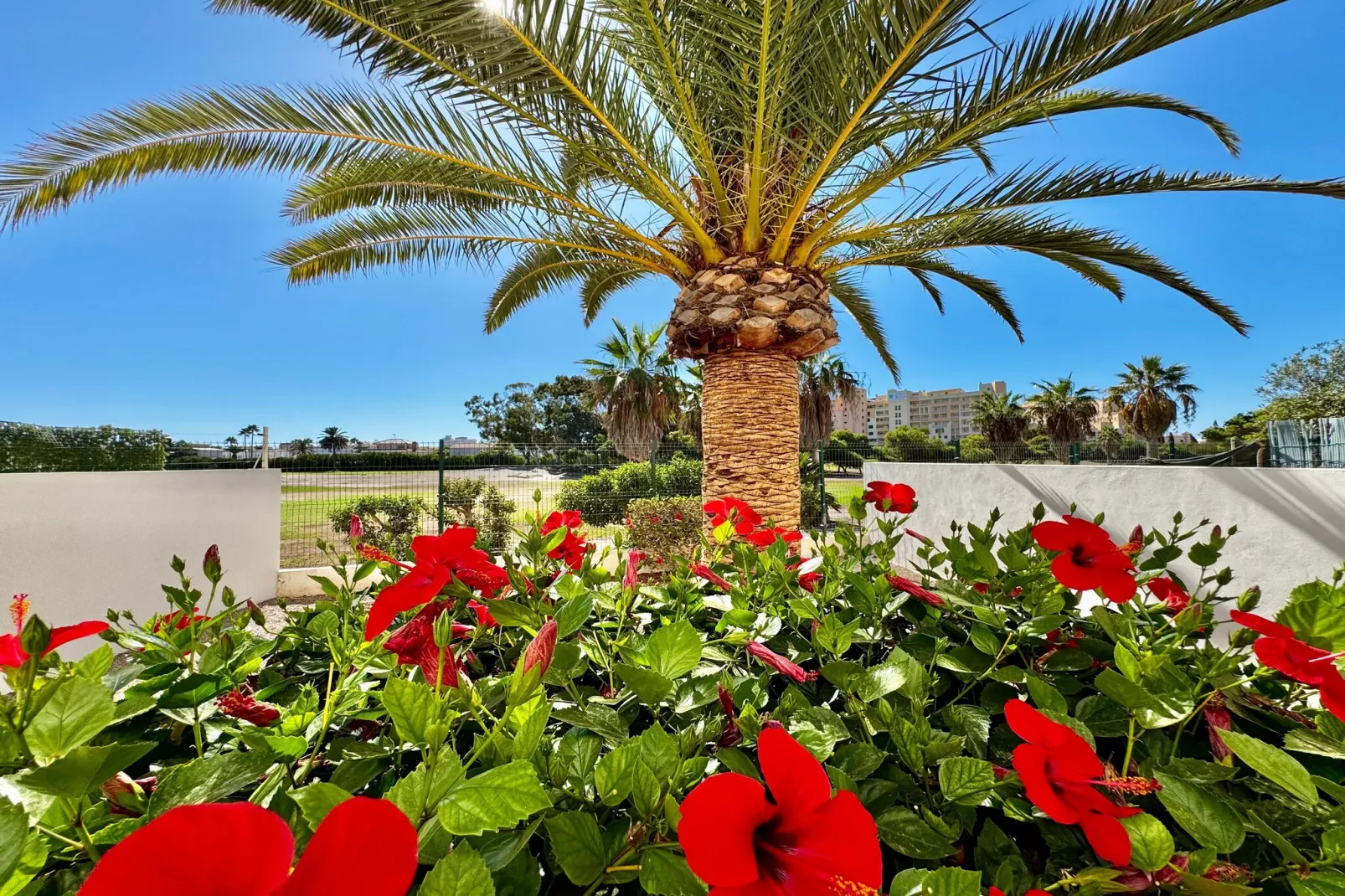 Golf Center Bajo 3-Tuinen zomer