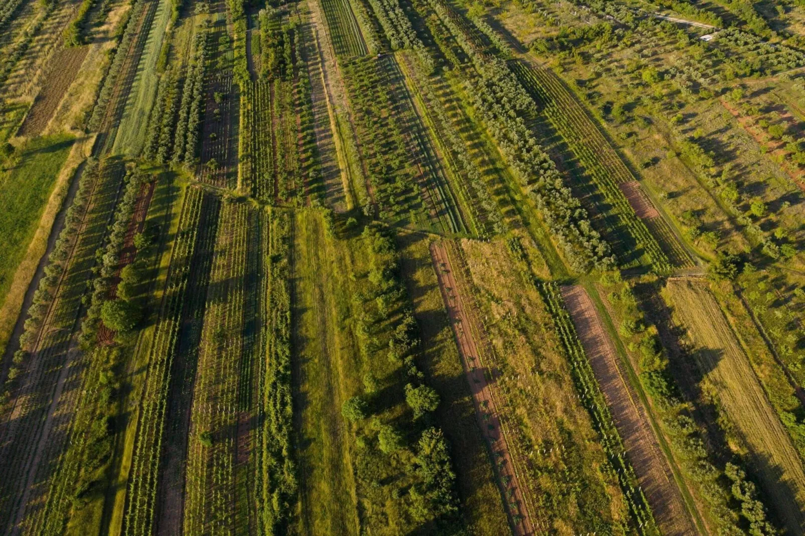 Authentic Villa Storia-Gebieden zomer 20km