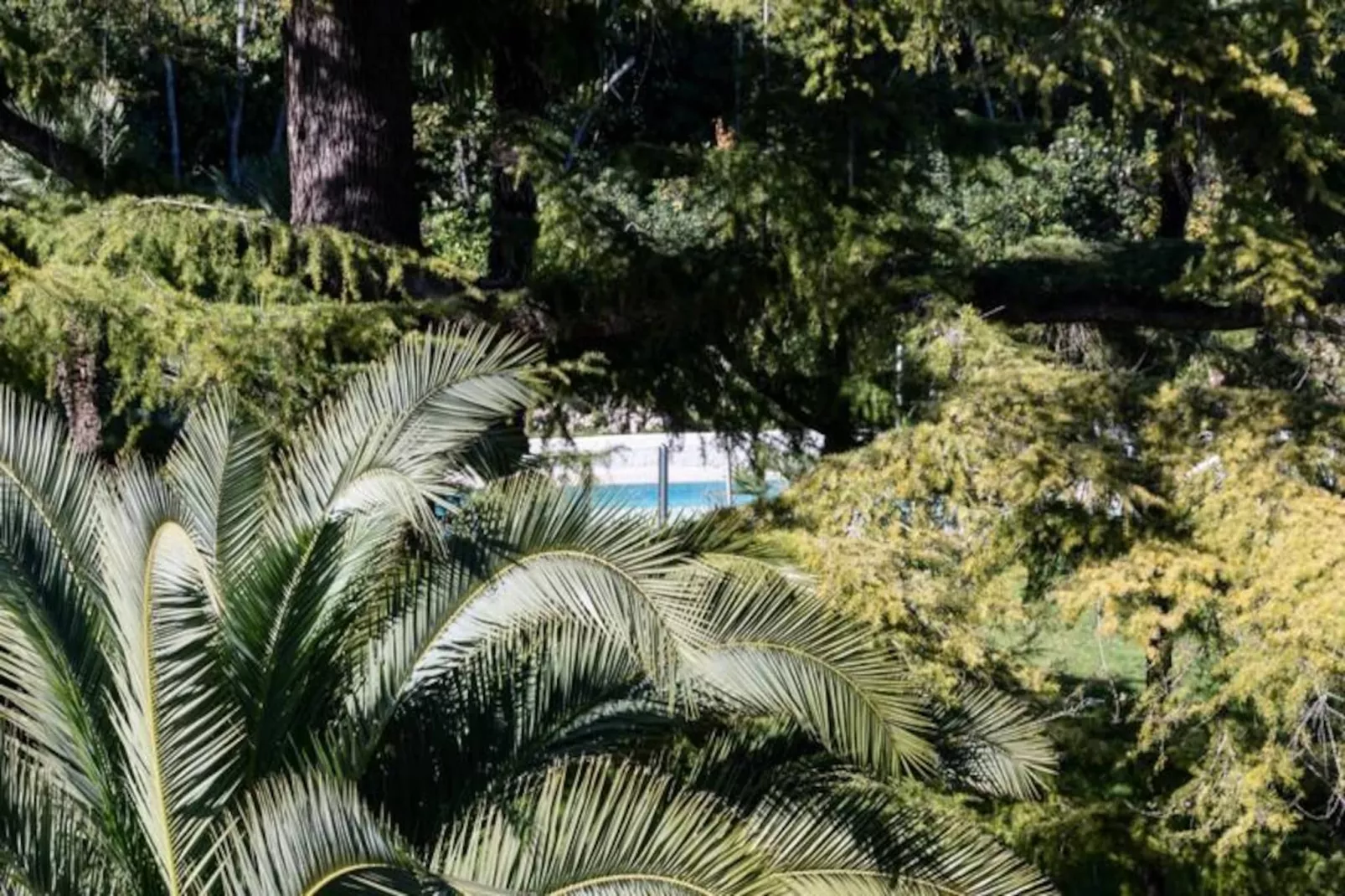 Résidence Spacieux 3p En R&eacute;sidence Avec Piscine-Niet-getagd