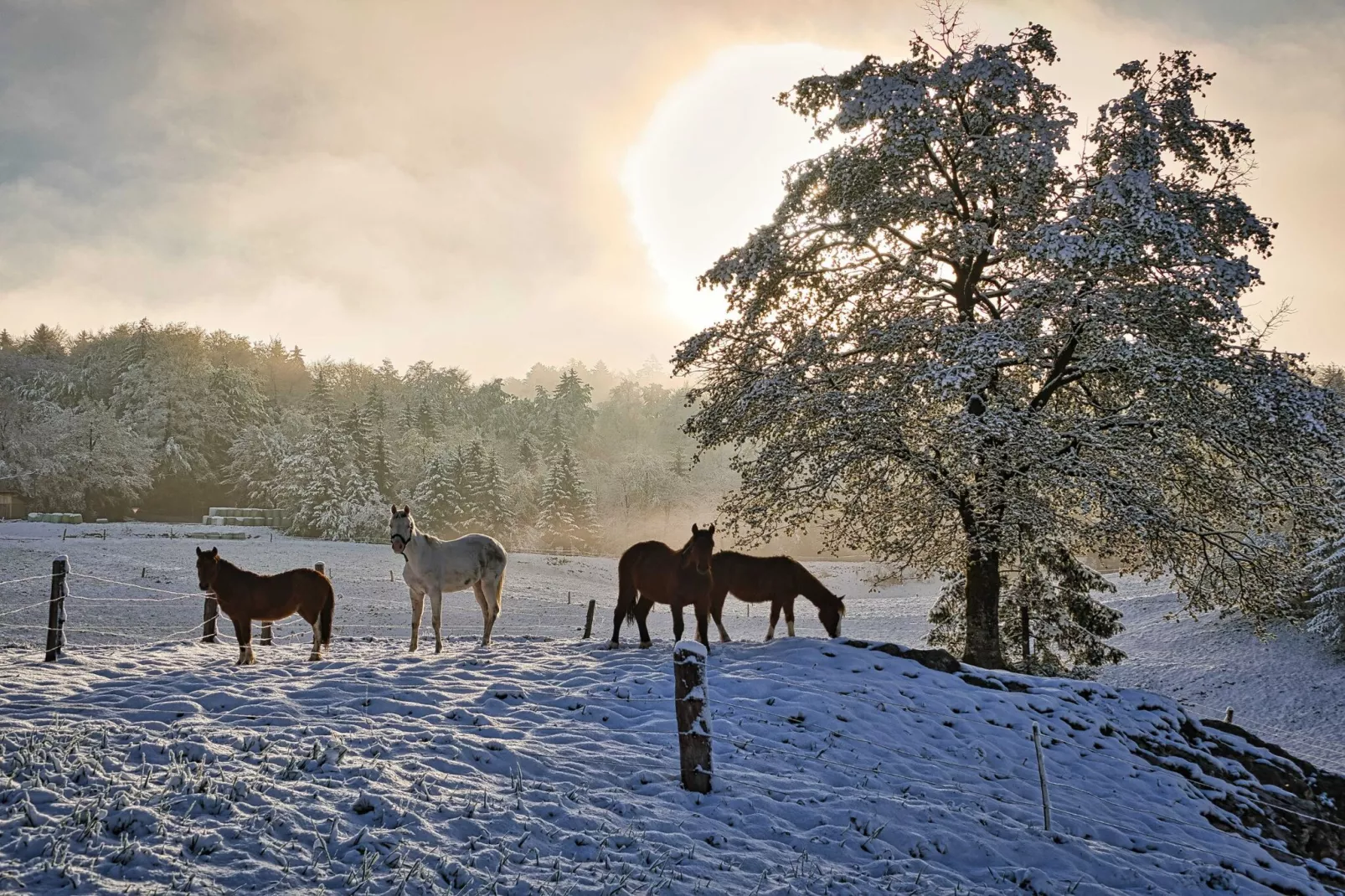 Visnja Gora Meadow Hideaway with Terrace - One Bedroom Cottage with Terrace (owner Hiška na skalci)-Buitenlucht