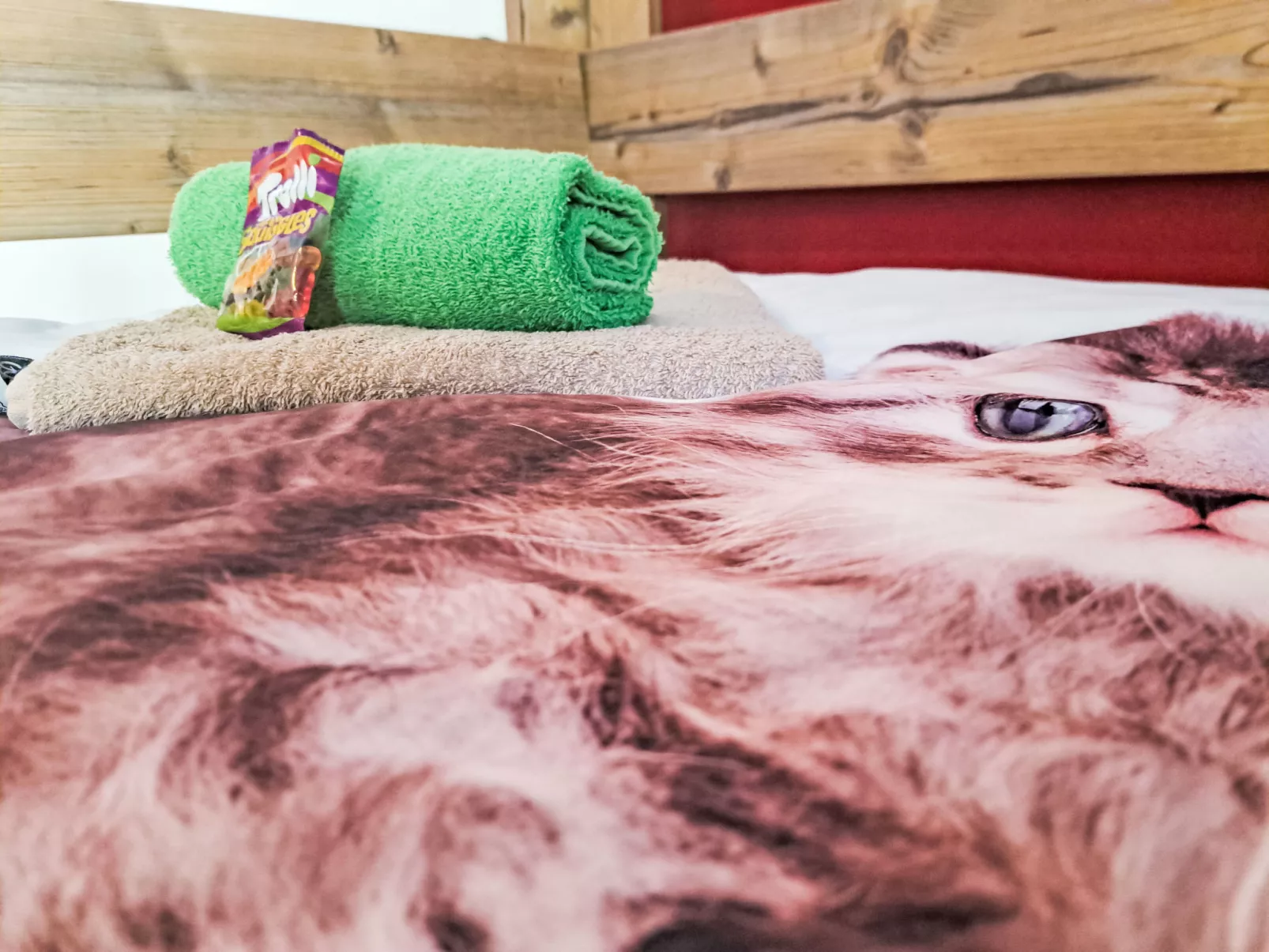 Appartement 2-Binnen