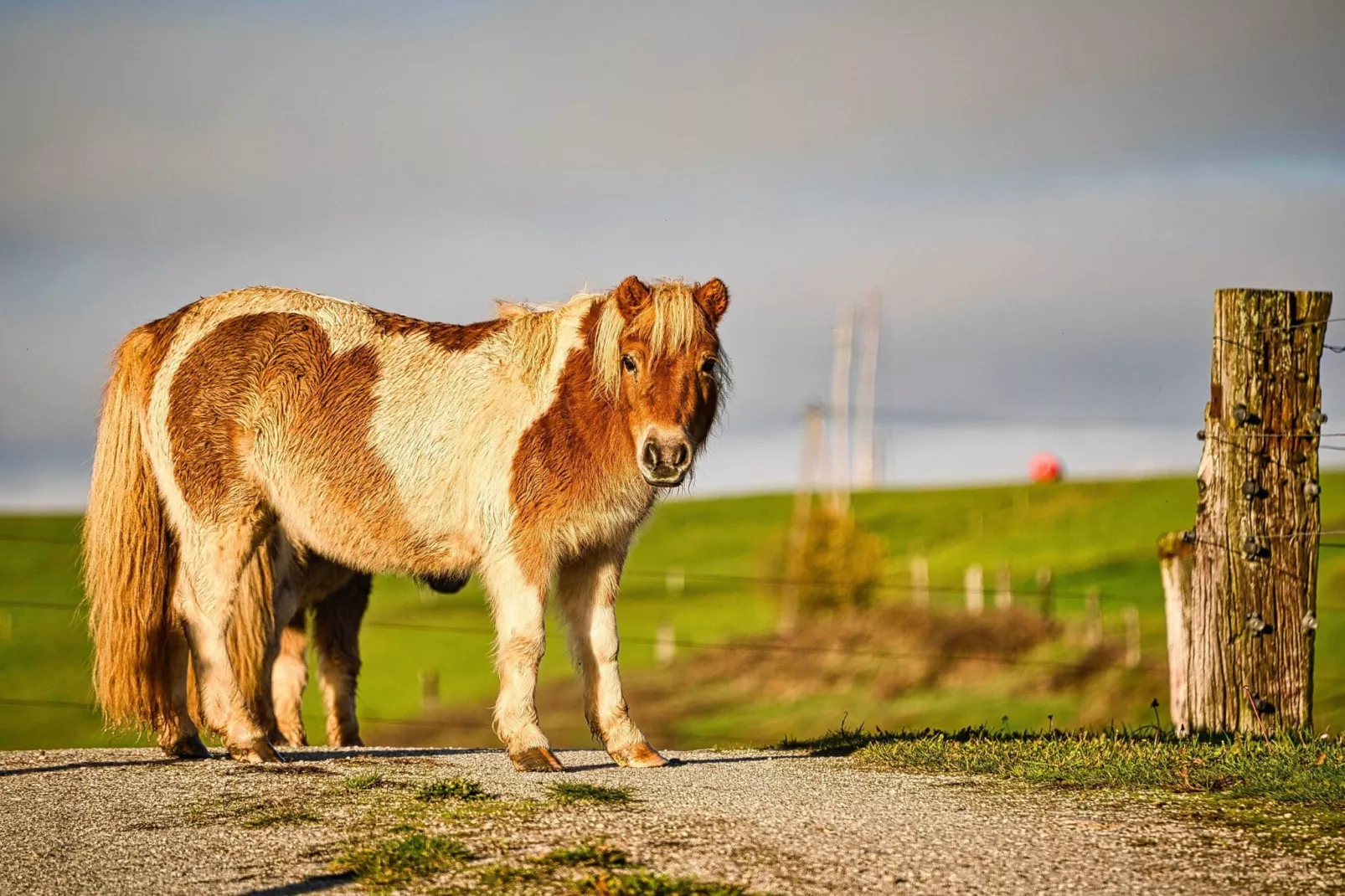 Visnja Gora Meadow Hideaway with Terrace - One Bedroom Cottage with Terrace (owner Hiška na skalci)-Buitenlucht