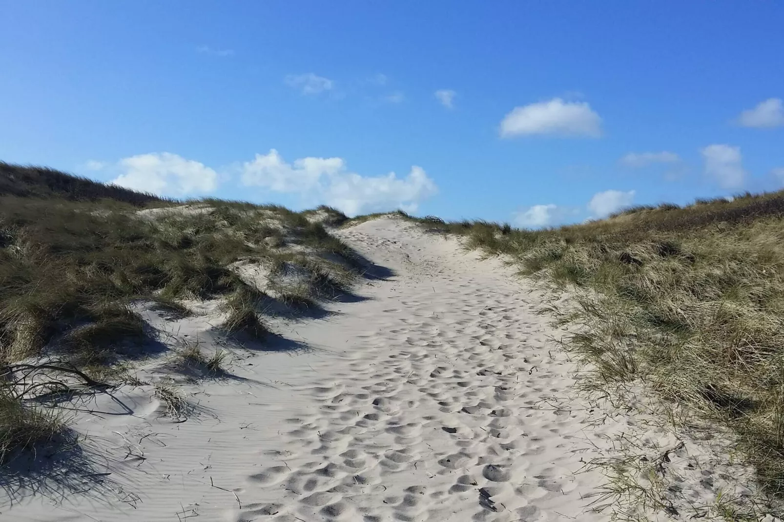 10 persoons vakantie huis in Ringkøbing-Buitenlucht