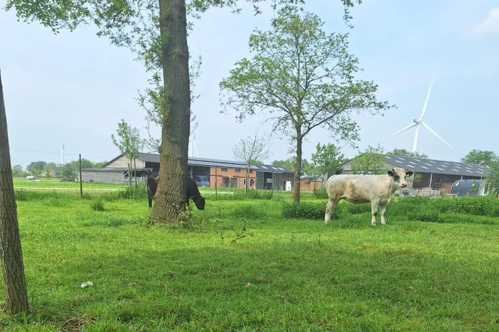 Het Boshuis-Uitzicht zomer