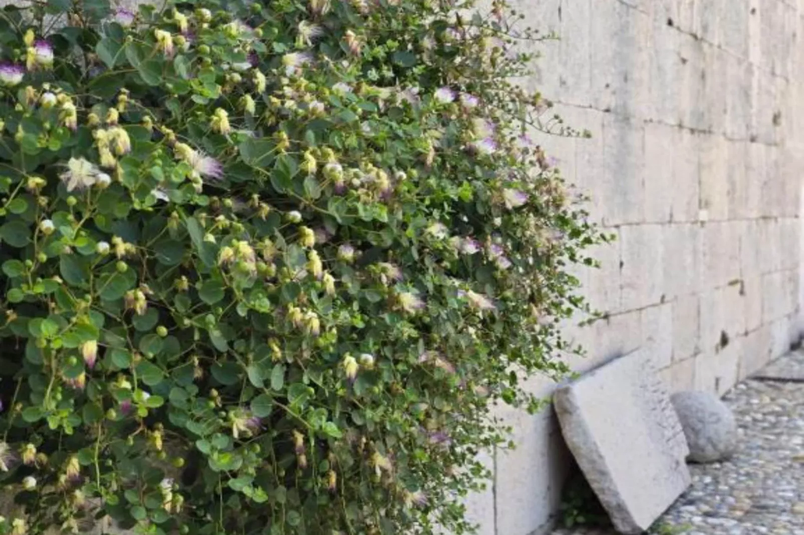 Heritage Hotel Maškovića Han Double Room-Uitzicht