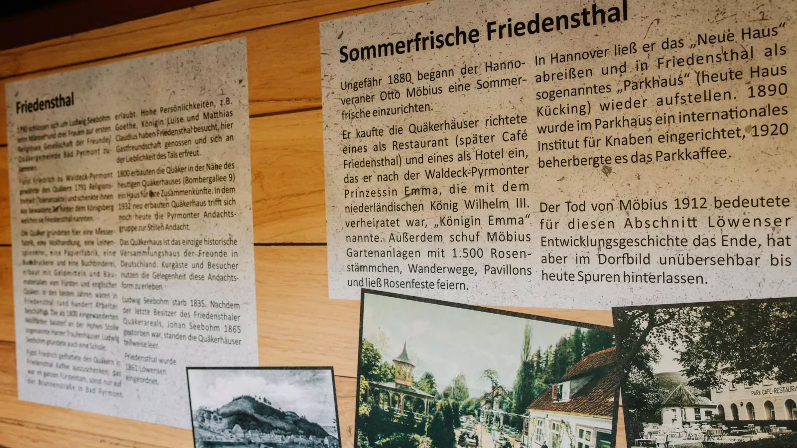 Hubertus III-Gebieden zomer 1km