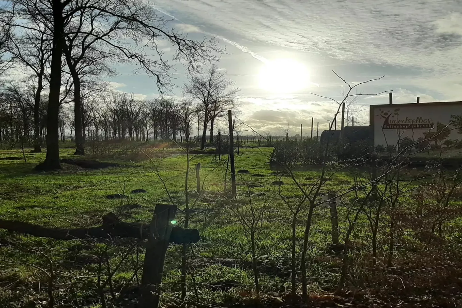 Het Boshuis-Uitzicht zomer