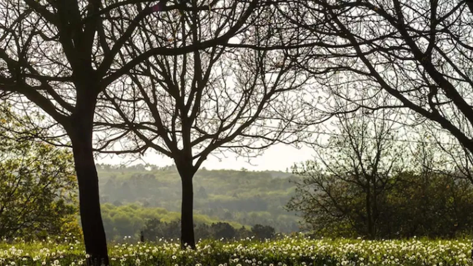 La Roque Haute-Tuinen zomer