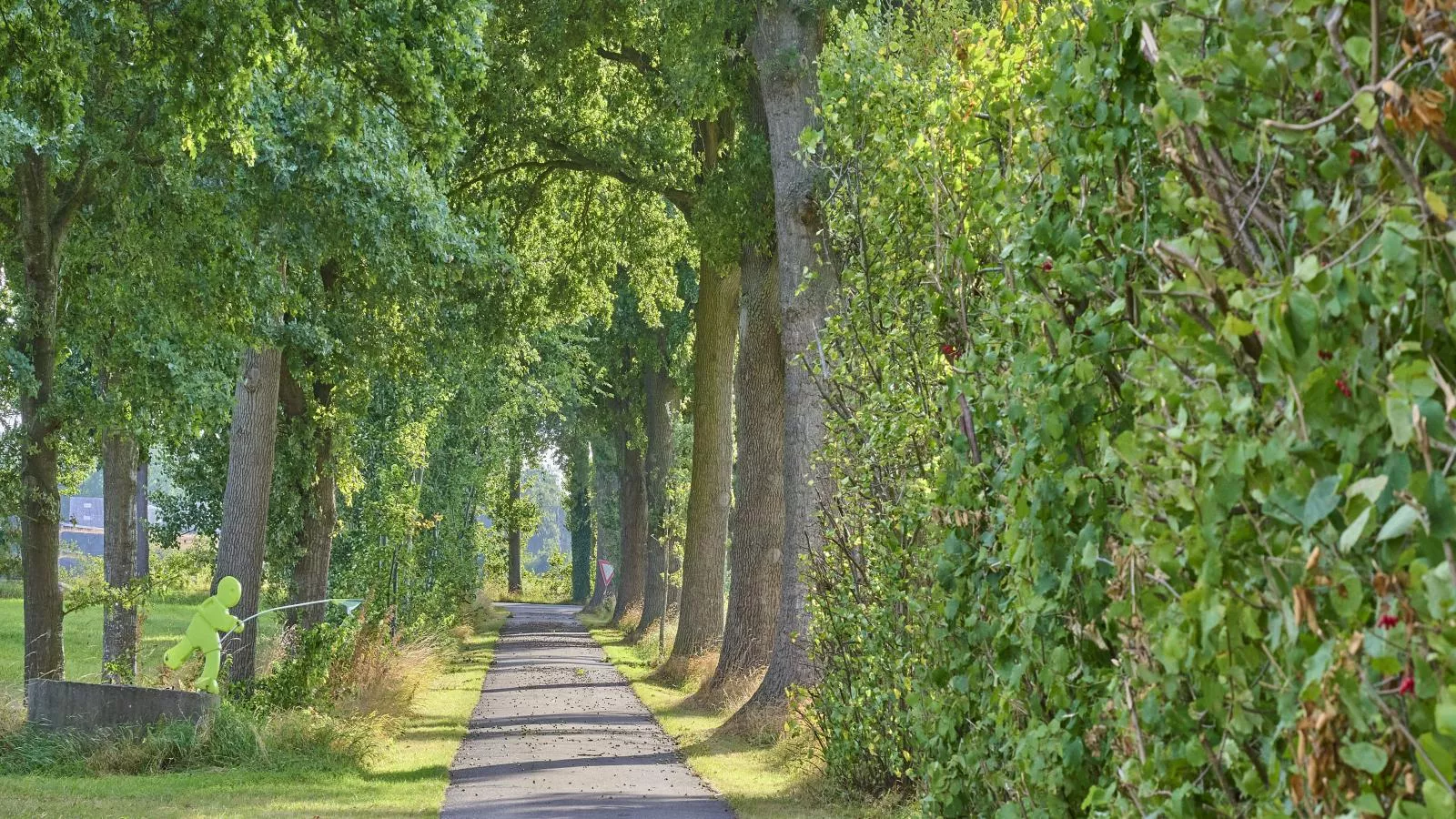 Erve Koeleman-Gebieden zomer 5km