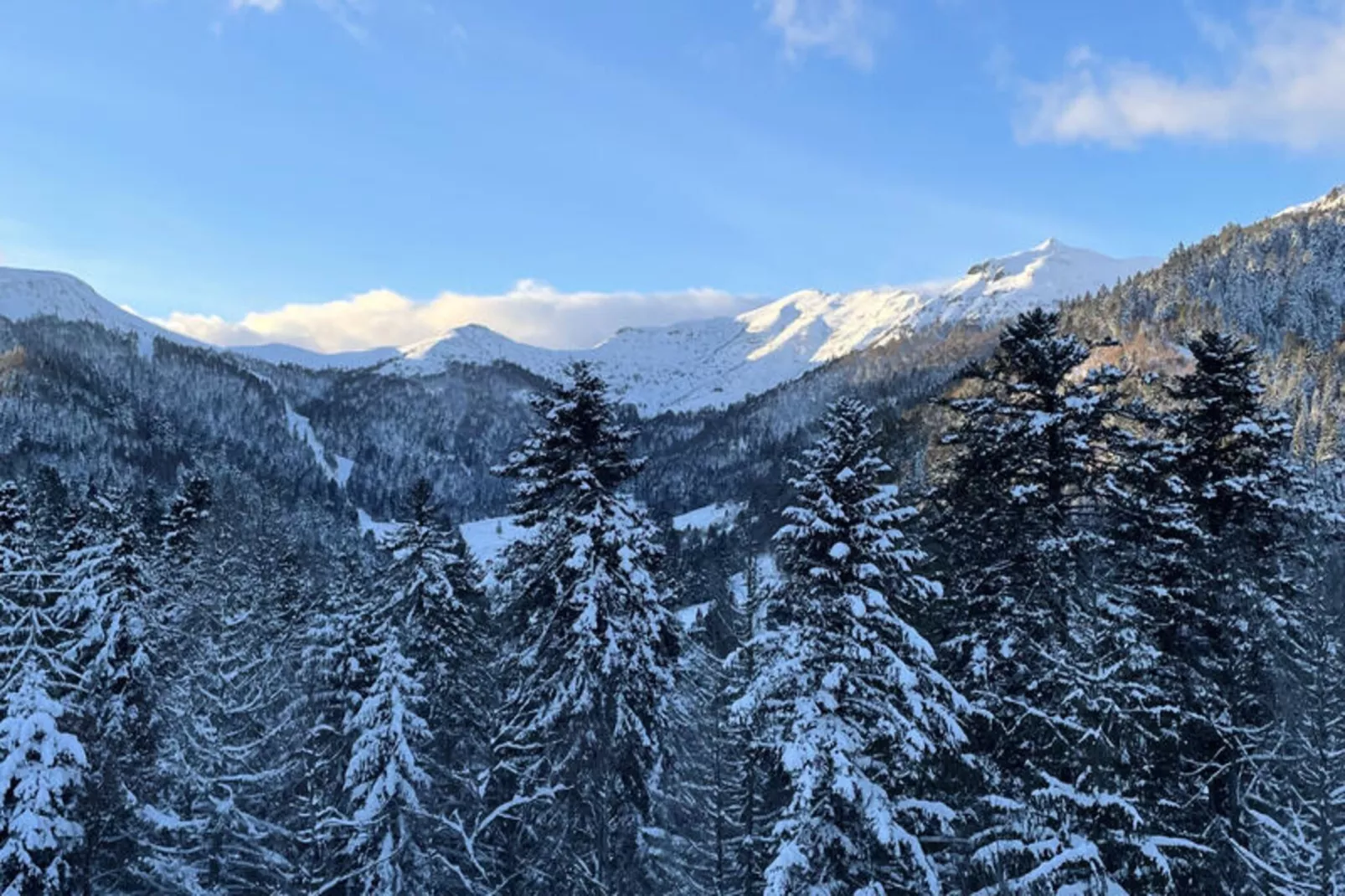 Chalets à Le Lioran-Niet-getagd