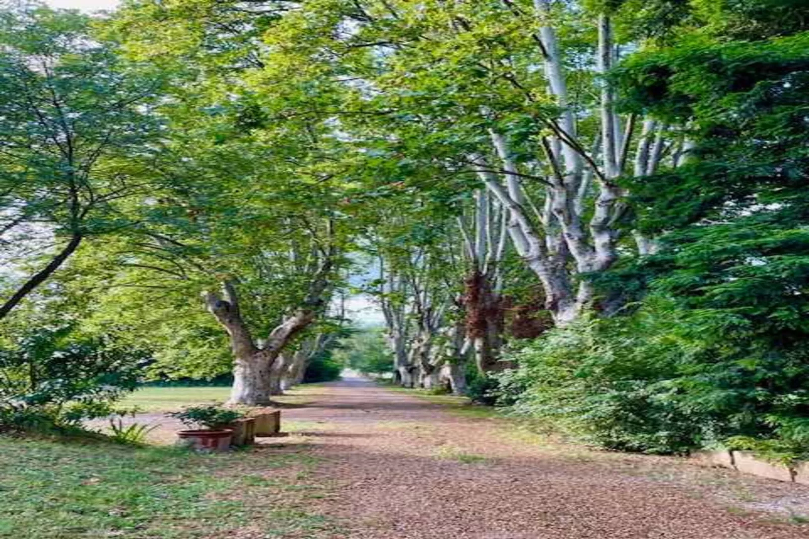 Mas de Corinne-Gebieden zomer 1km