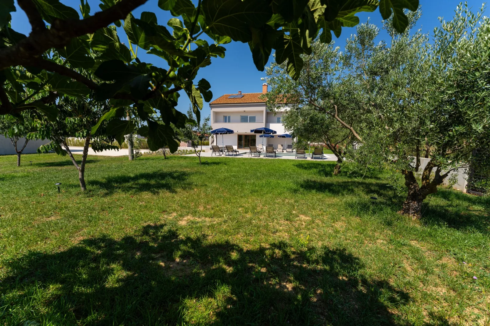 Villa Campi Dalmatia-Tuinen zomer