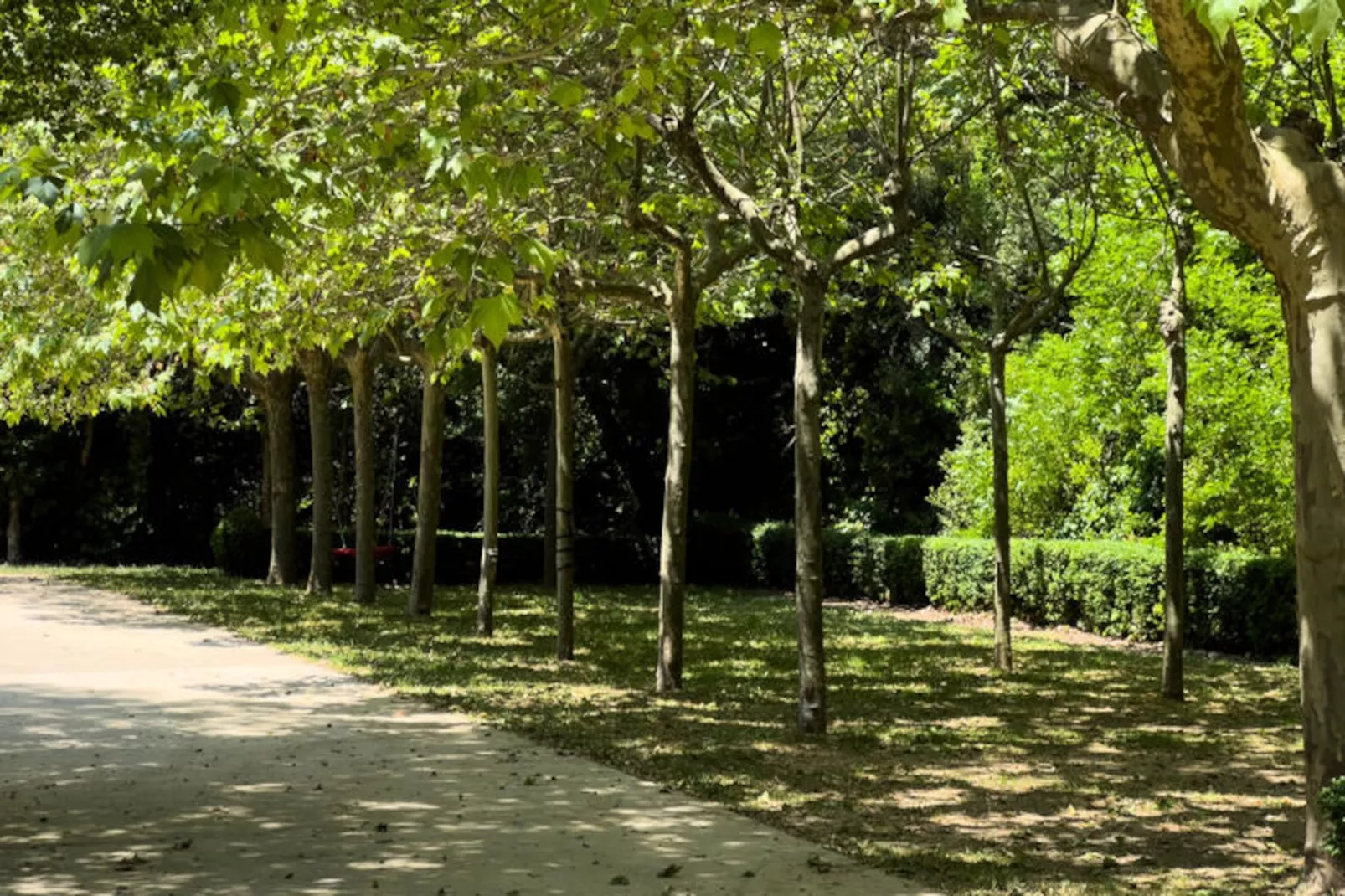 Maison à Sant Hilari Sacalm-Niet-getagd