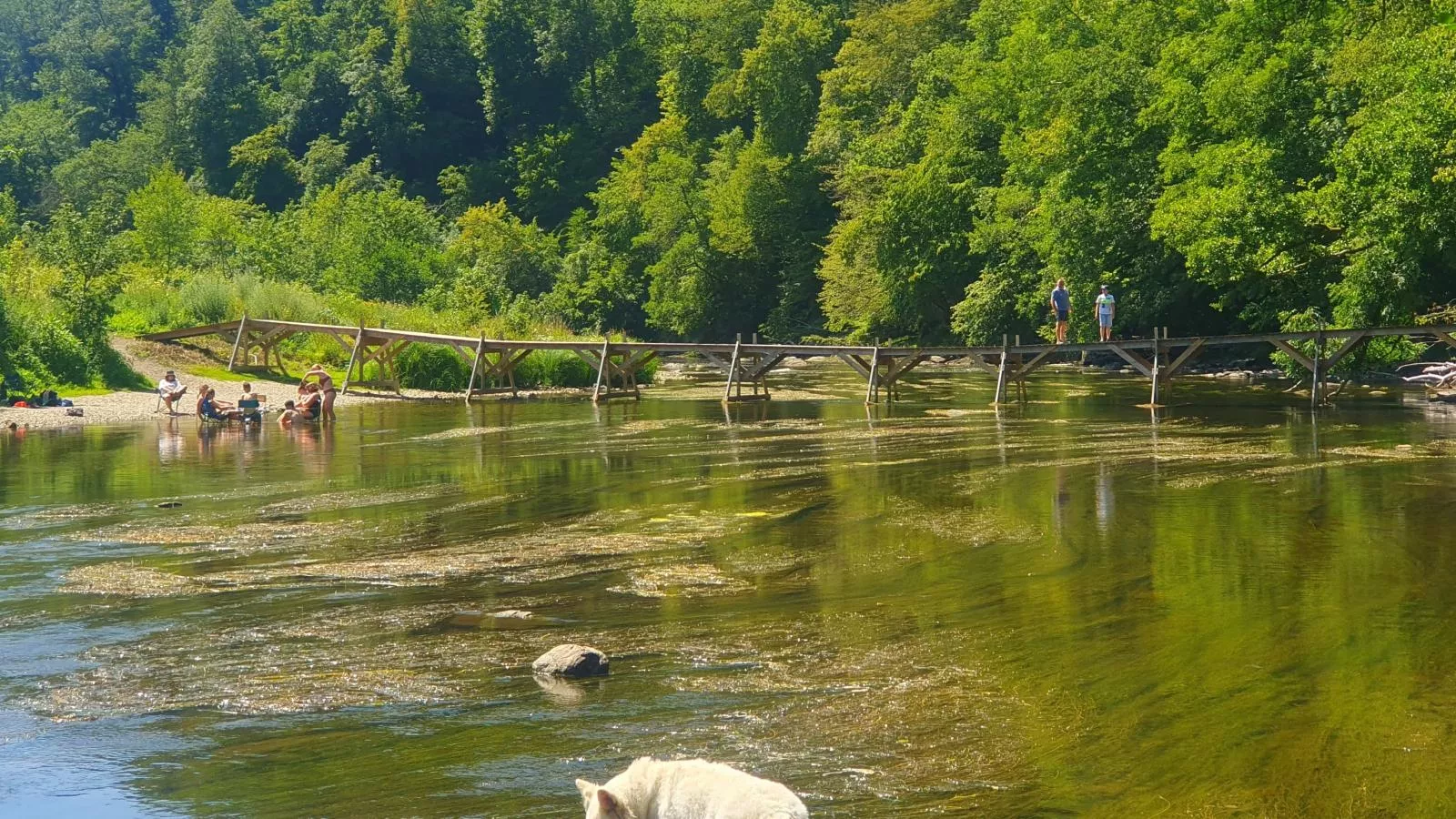 Agathe-Gebieden zomer 5km
